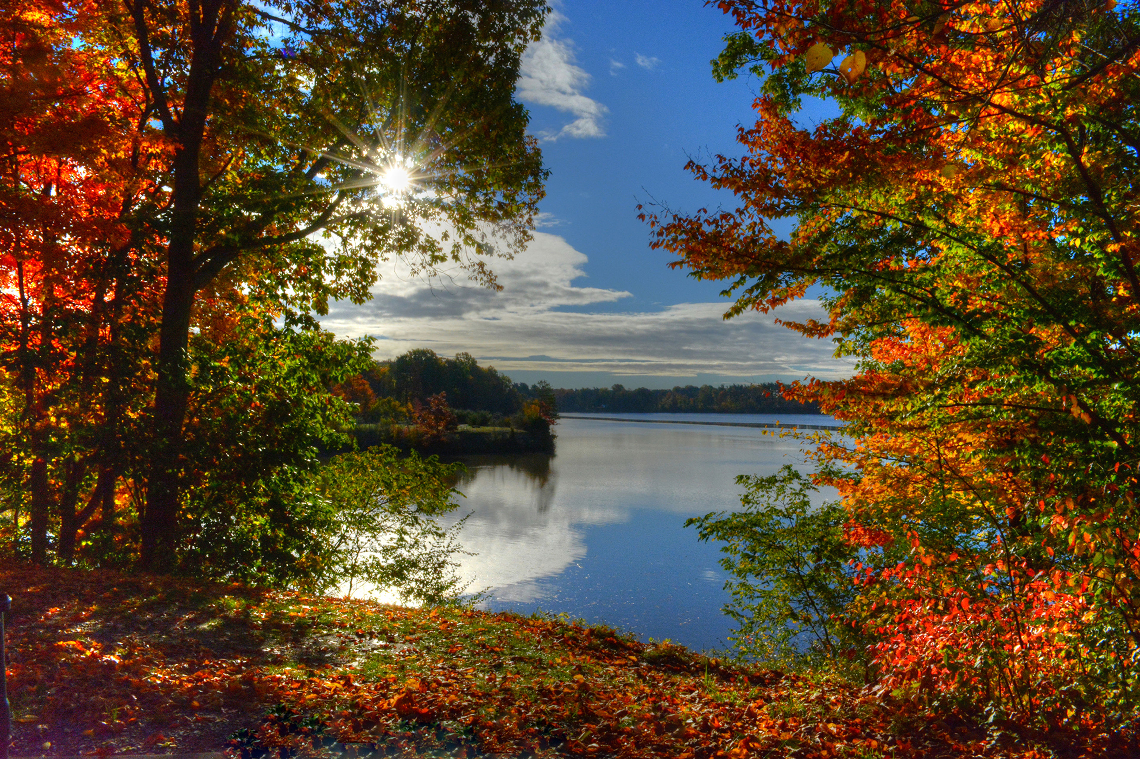 sun shining on harrison lake through the bright red, orange and green trees on a fall day