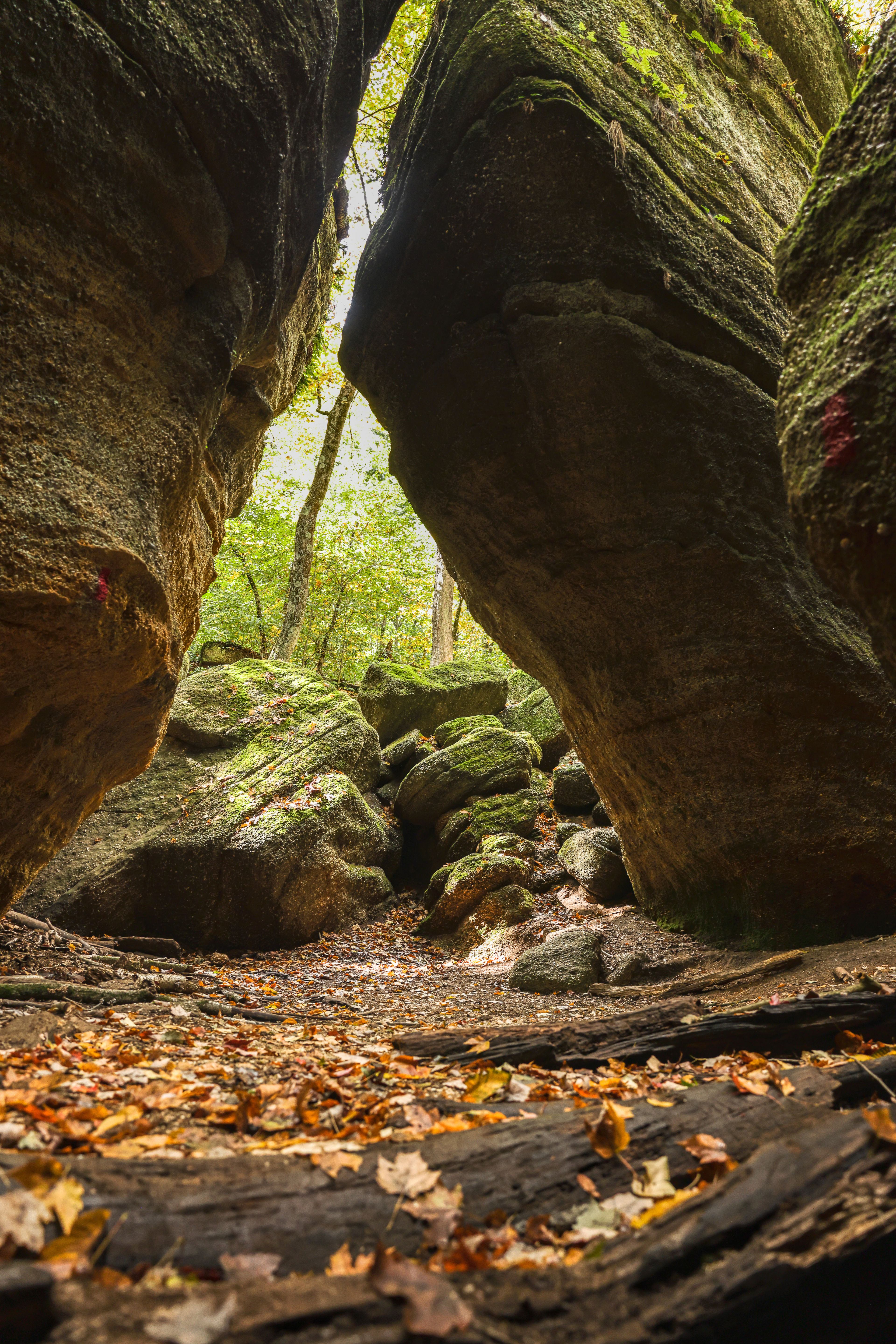 rugged cliff and rocks at Nelson-Kennedy Ledges