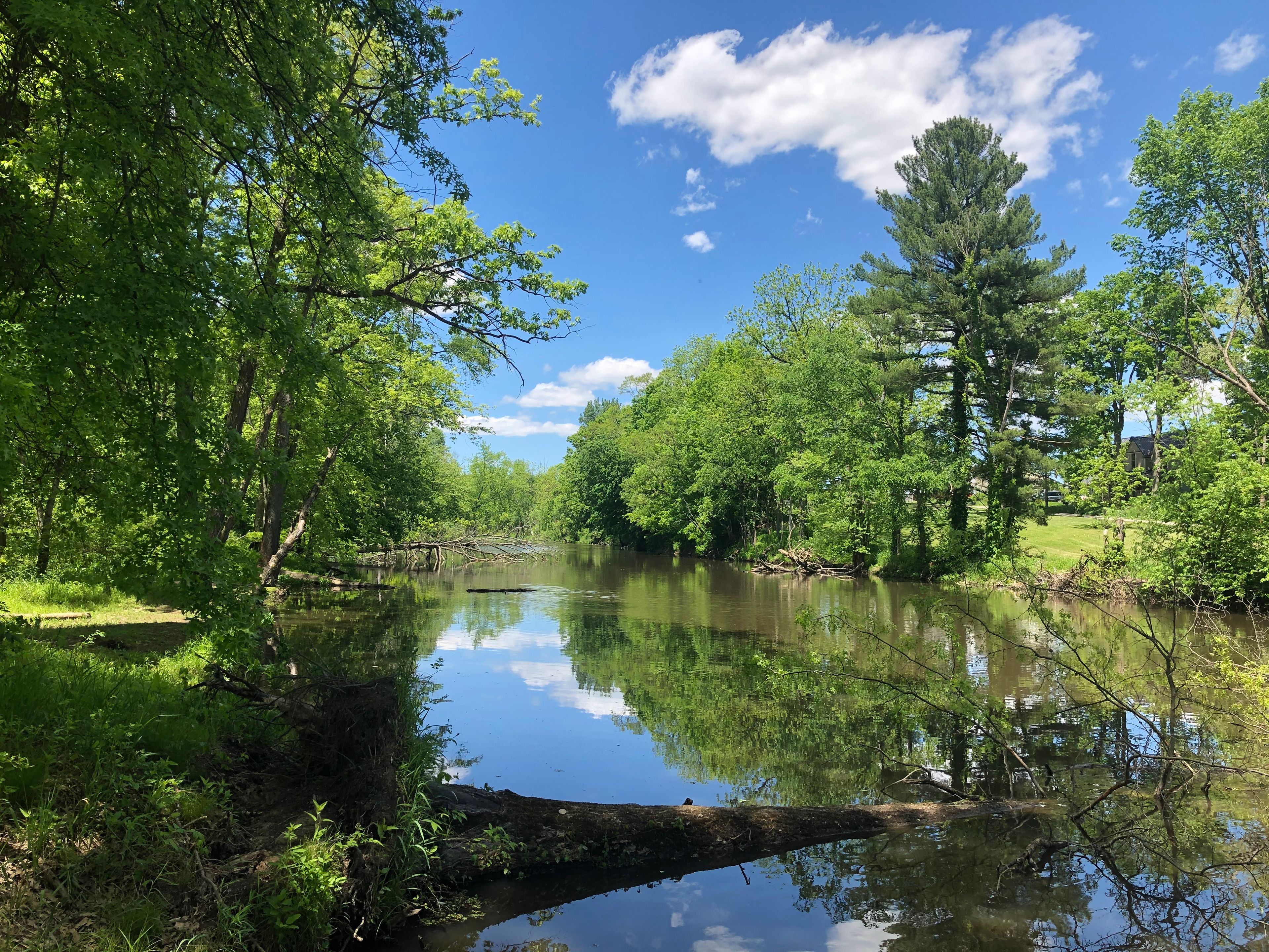 view of pymatuning state park lake with green full trees and blue skies