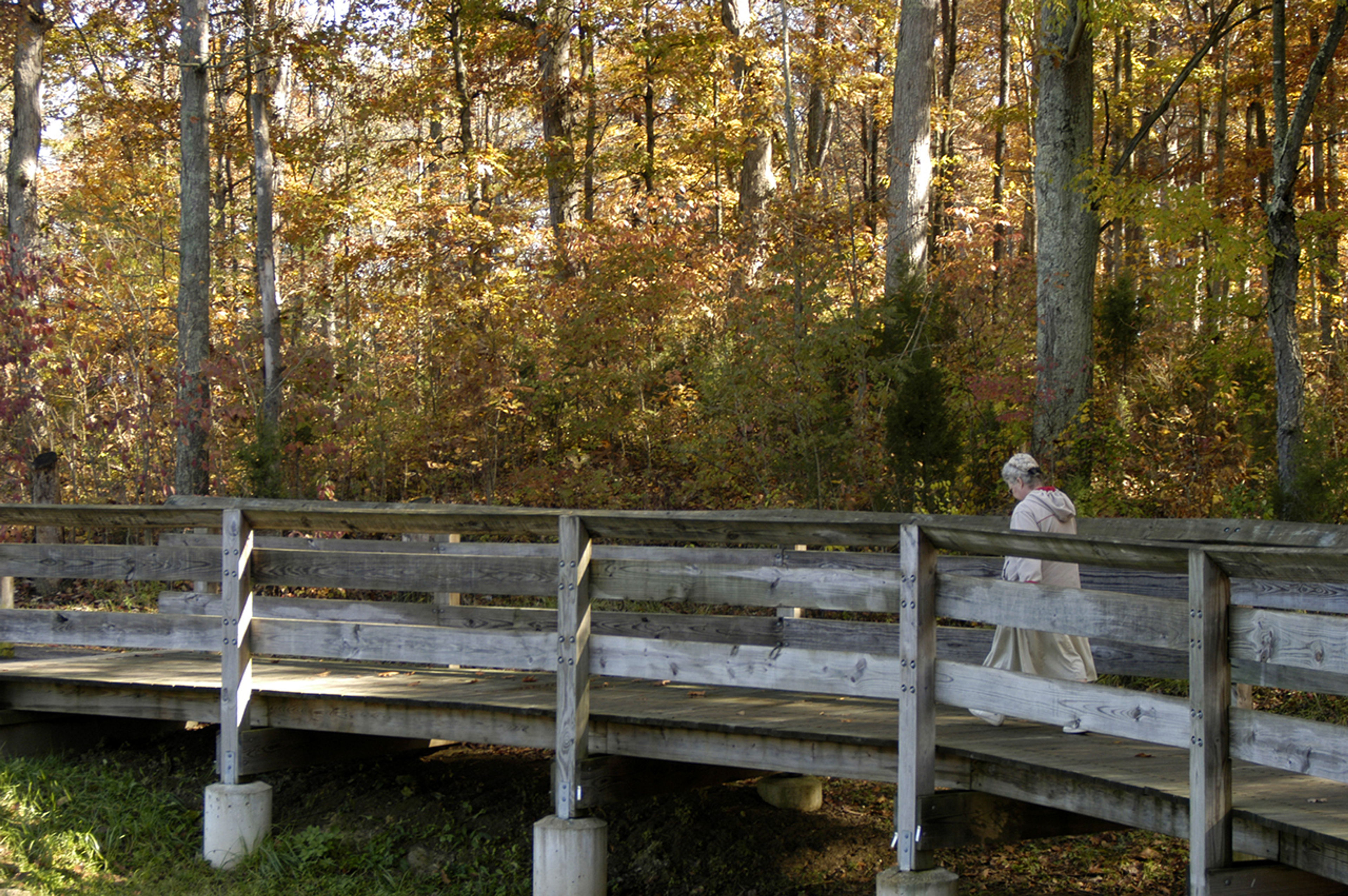 Person walking on a wooden bridge through a grove of trees in autumn at Adams Lake State Park.