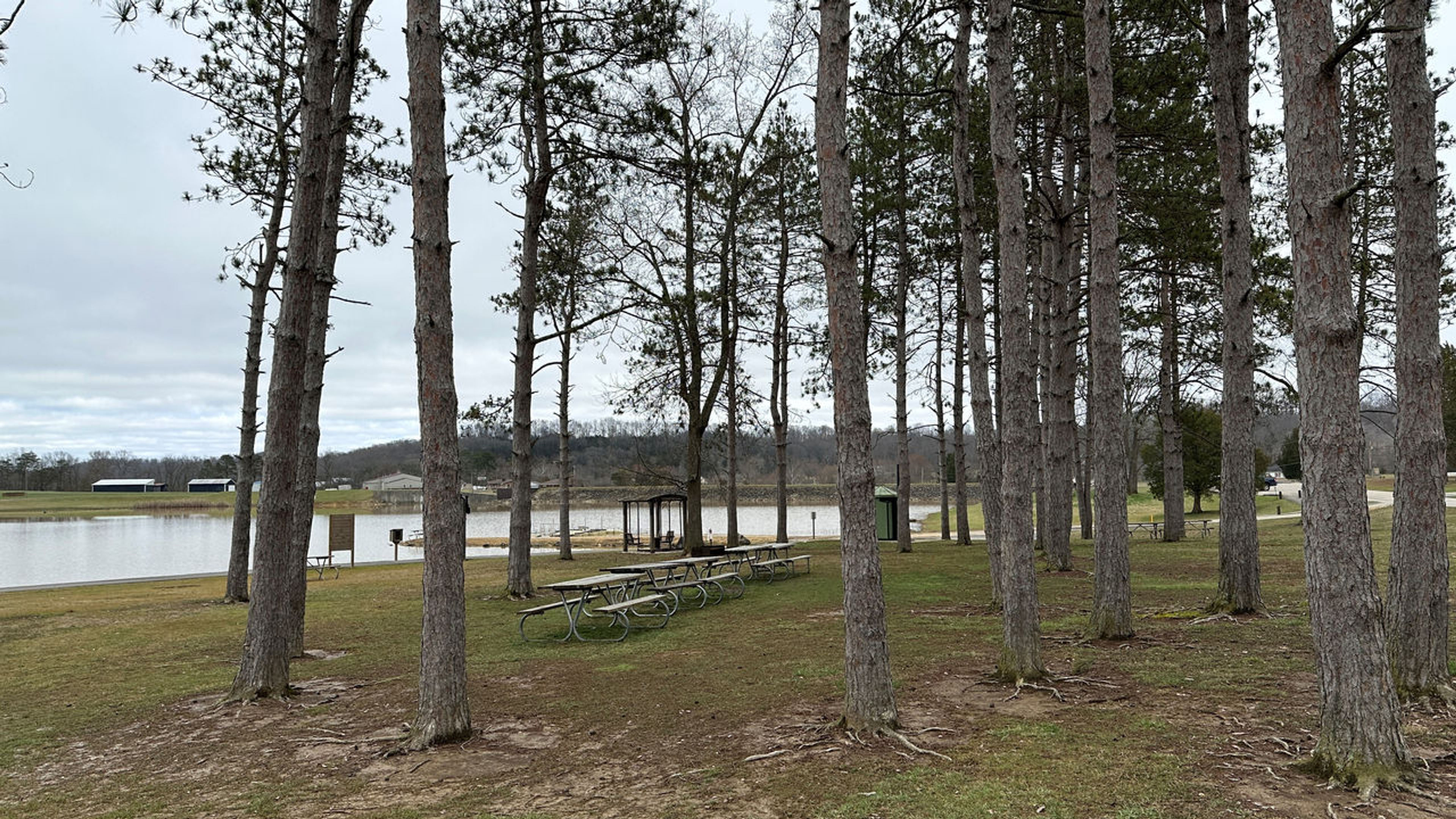 Three picnic tables in a grove of trees along Adams Lake.