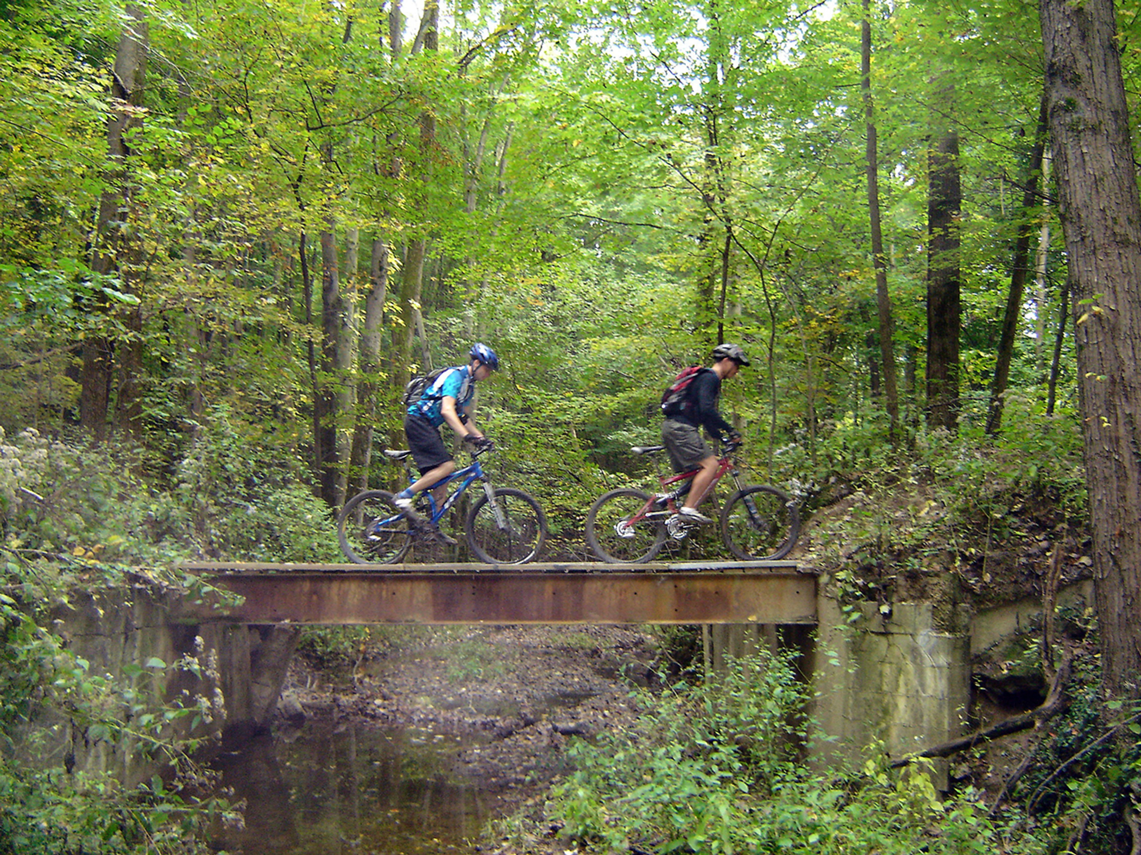 Two people riding bicycles over a bridge in the woods at Alum Creek State Park.