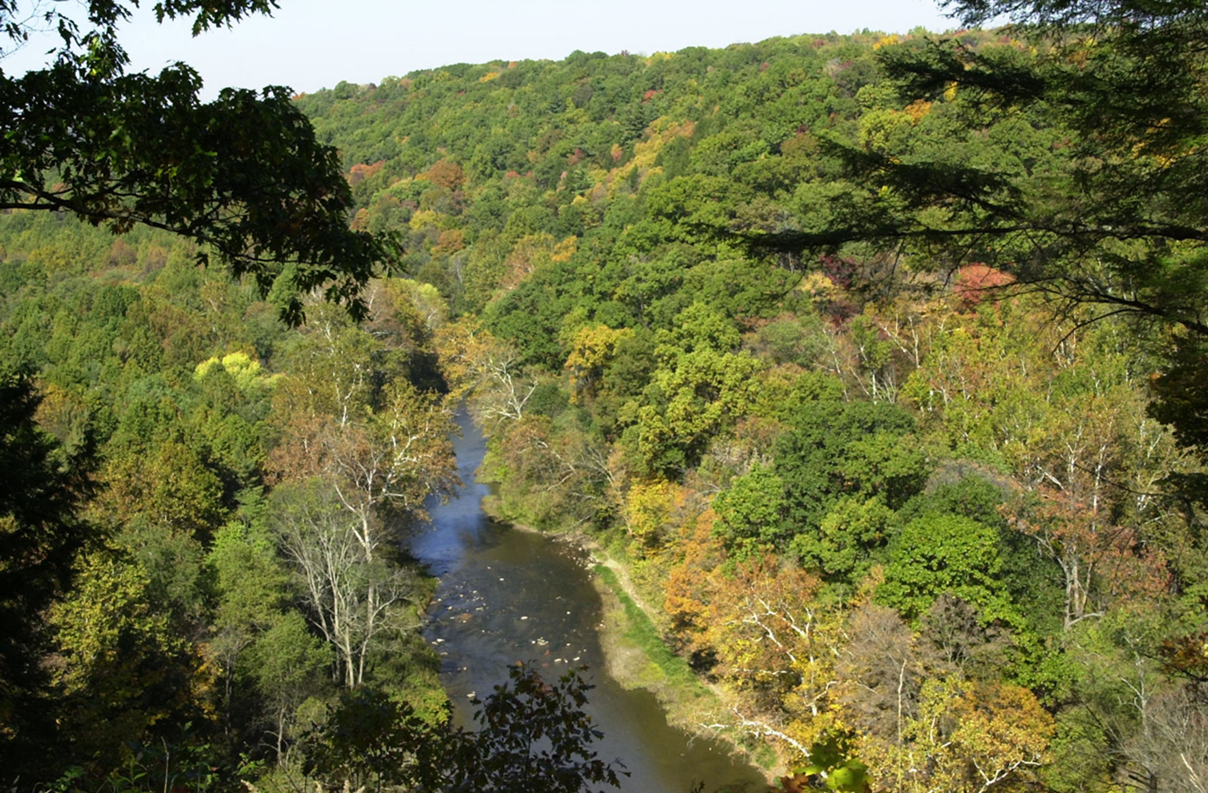 Aerial view of Little Beaver Creek surrounded by trees at Beaver Creek State Park.