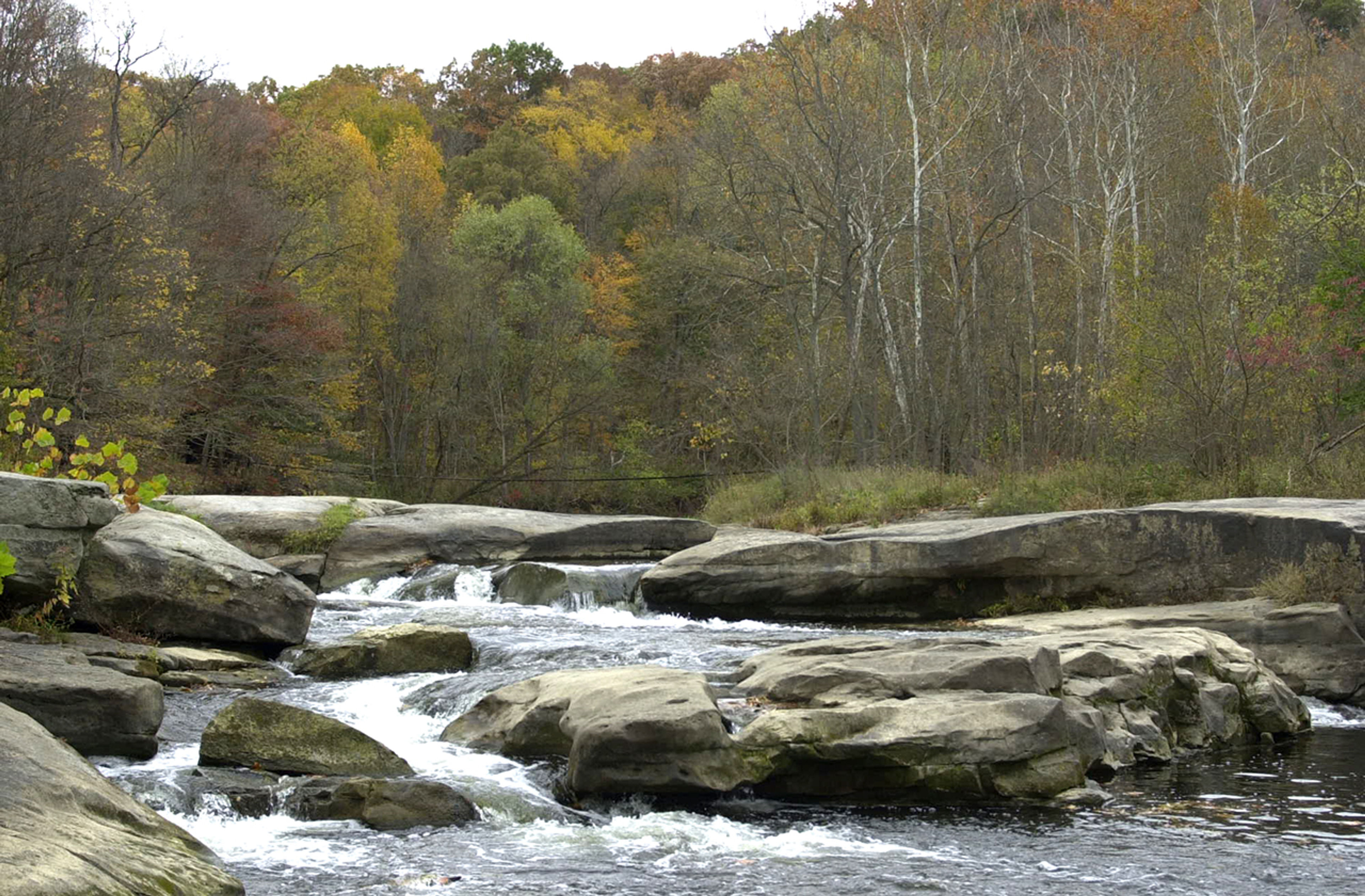 A stream in front of trees at Beaver Creek State Park