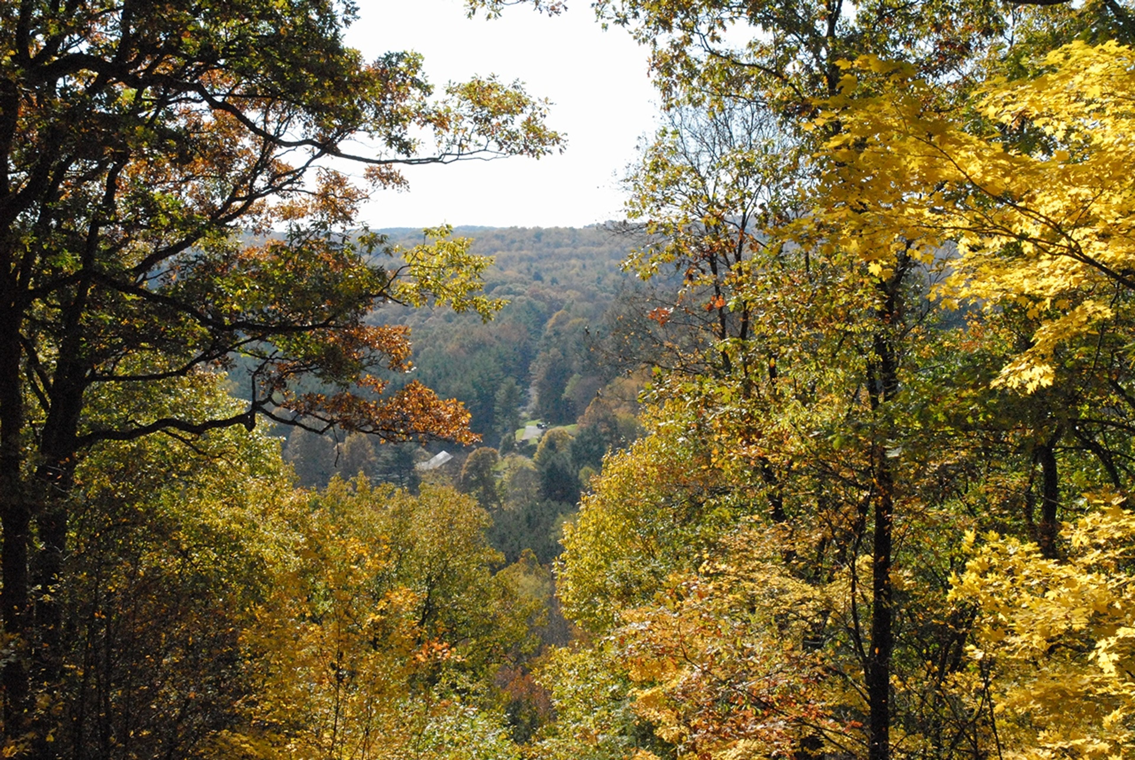 View though trees overlooking a forest at Beaver Creek State Park.