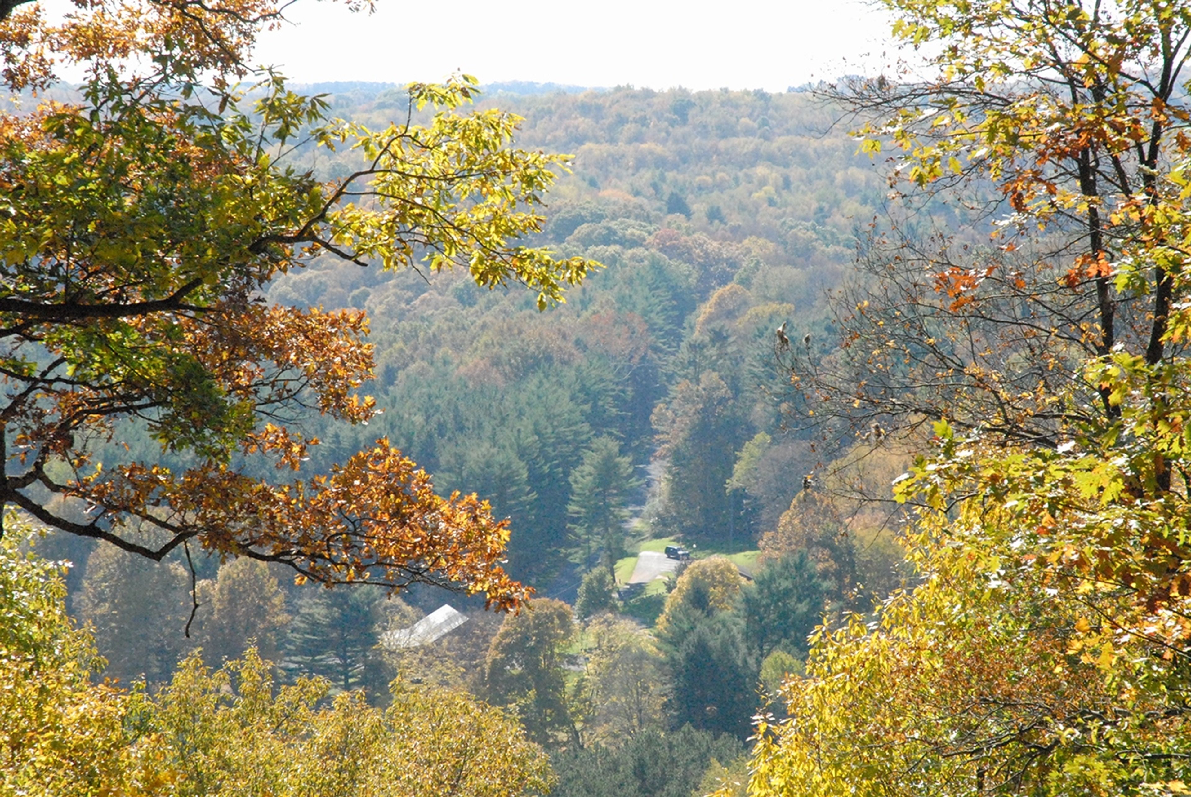 View though trees overlooking a forest at Beaver Creek State Park.