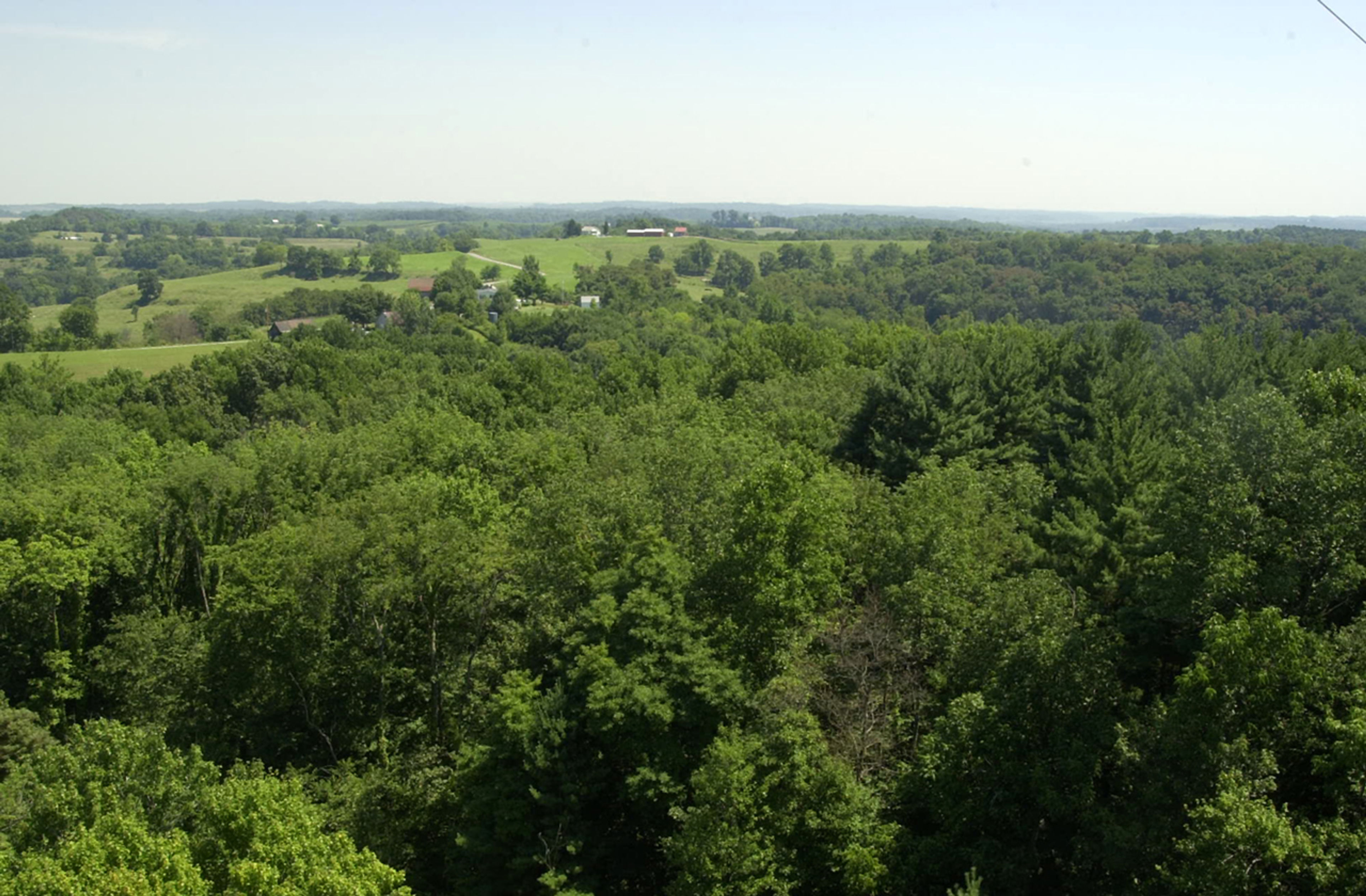 A landscape of a green field and trees at Blue Rock State Park.