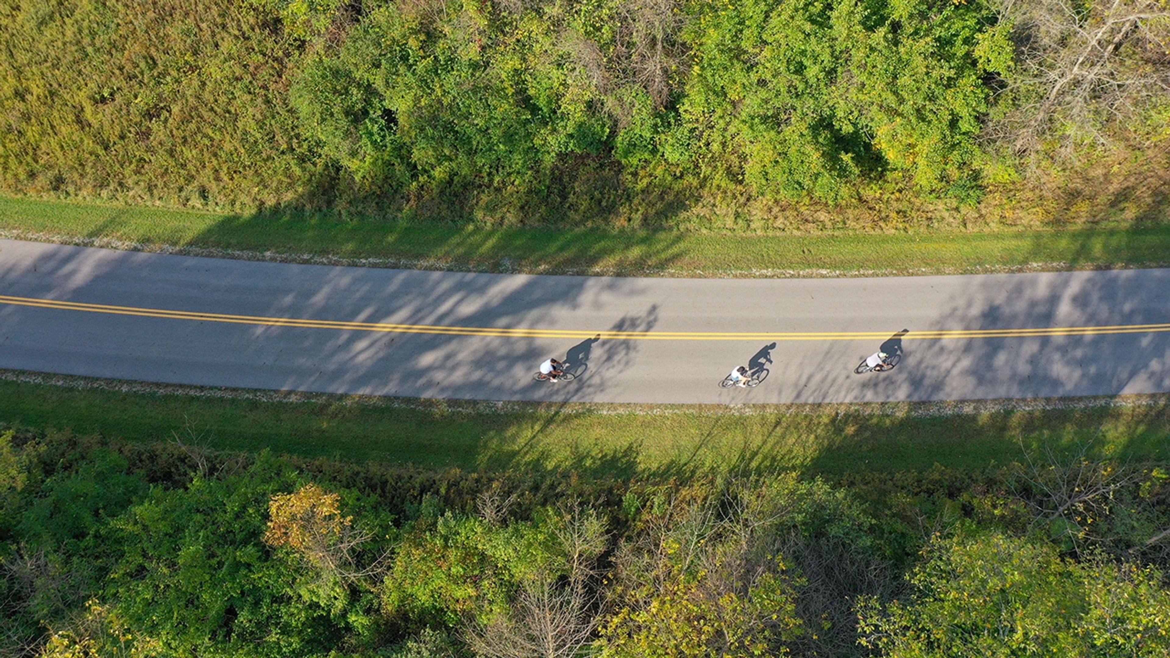 People biking on a road lined with trees at Delaware State Park.