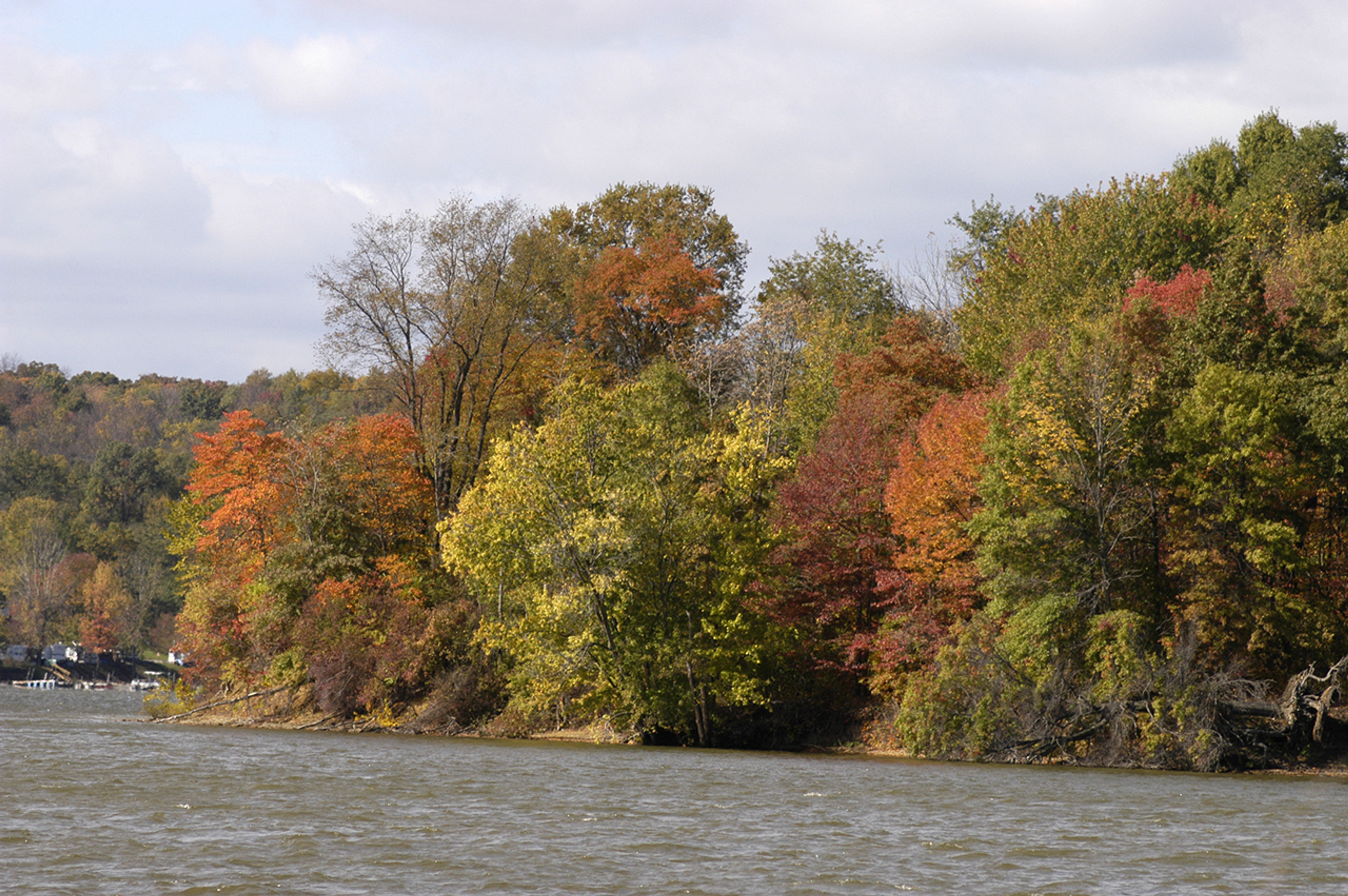 Trees next to a body of water starting to change for autumn at Dillon State Park.