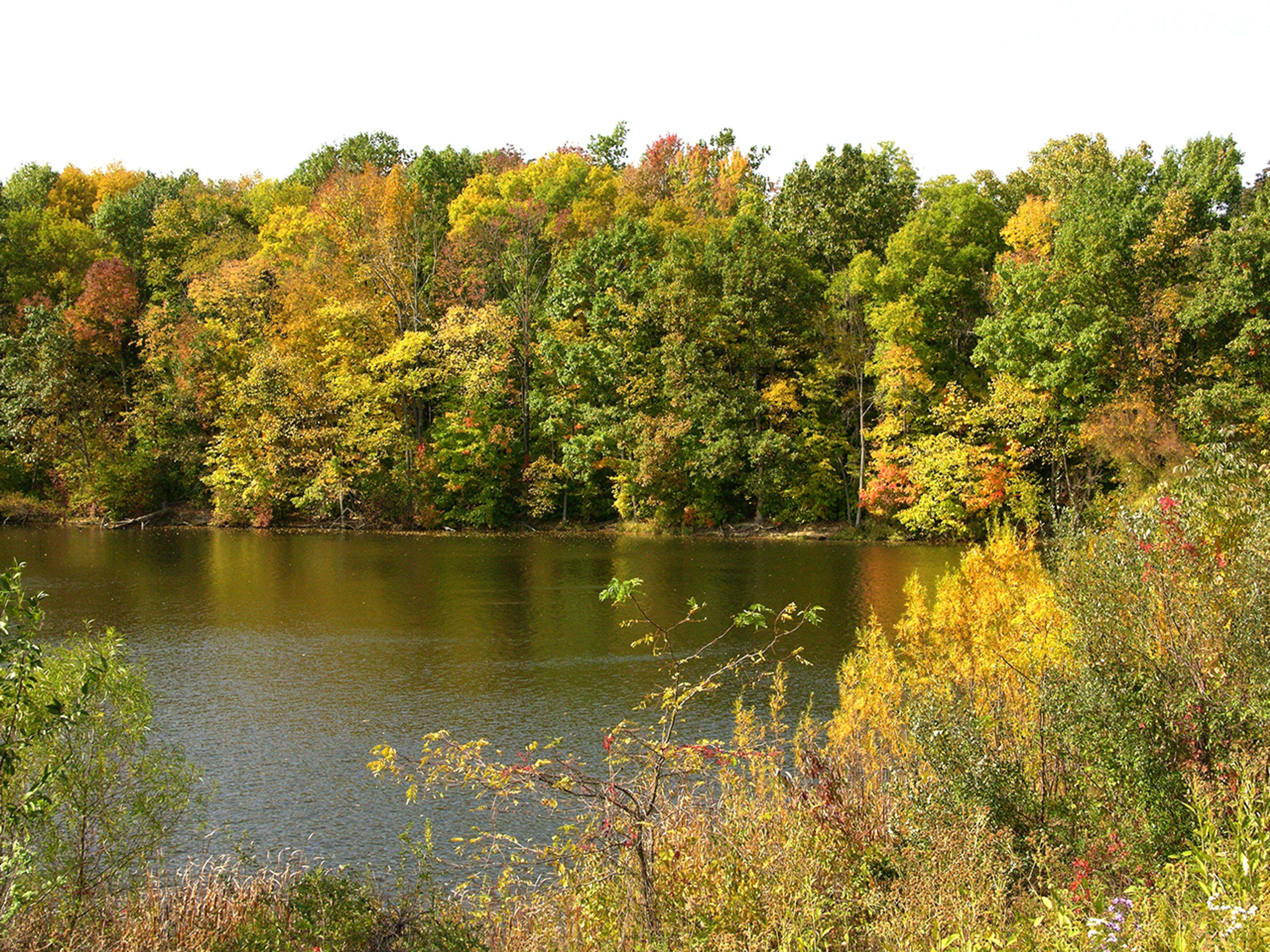 A lake surrounded by trees at Findley State Park