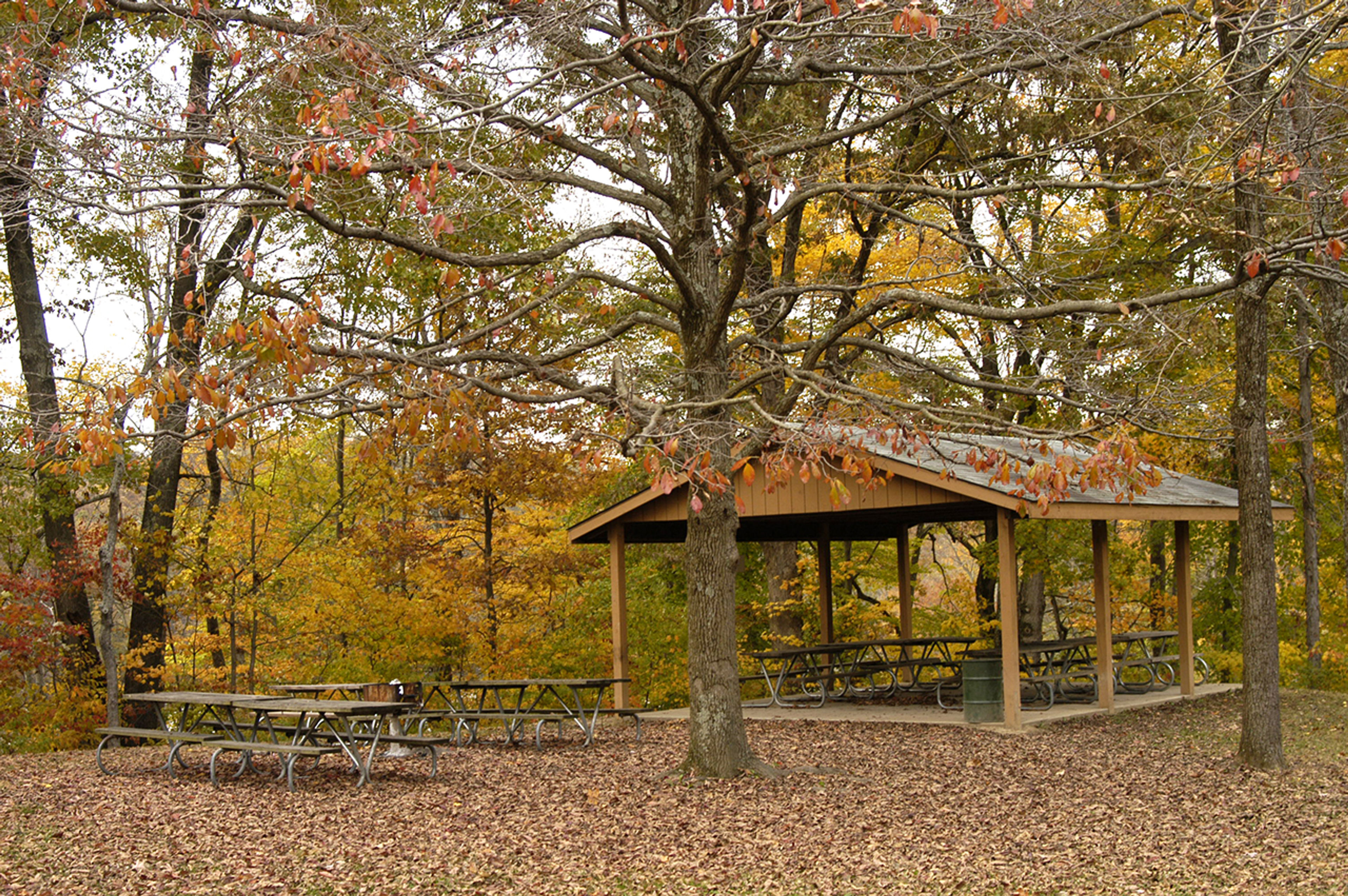 A picnic area with benches and a shelter house in the middle of a wooded area at Forked Run State Park