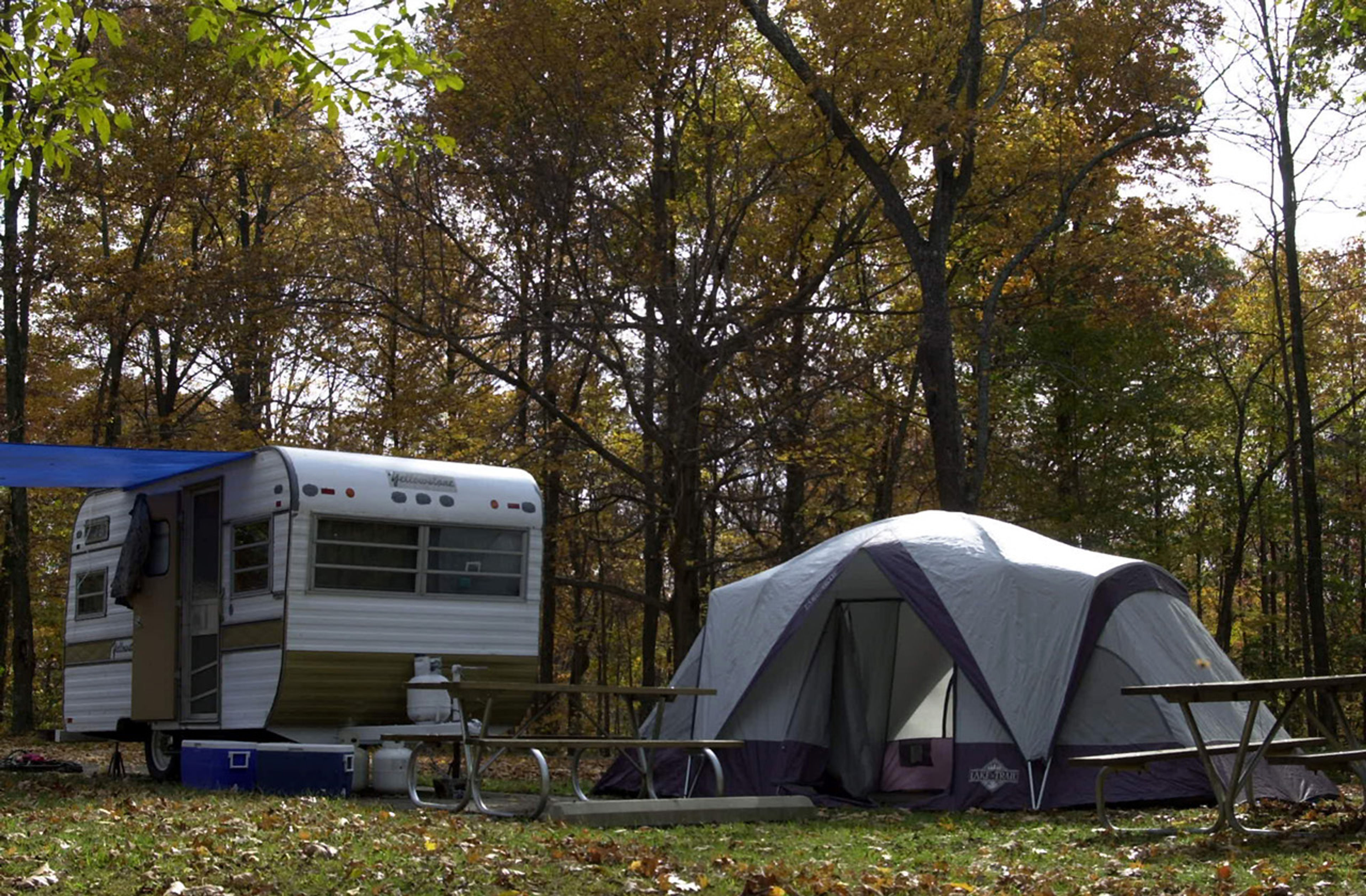 A campsite in the woods at Forked Run State Park