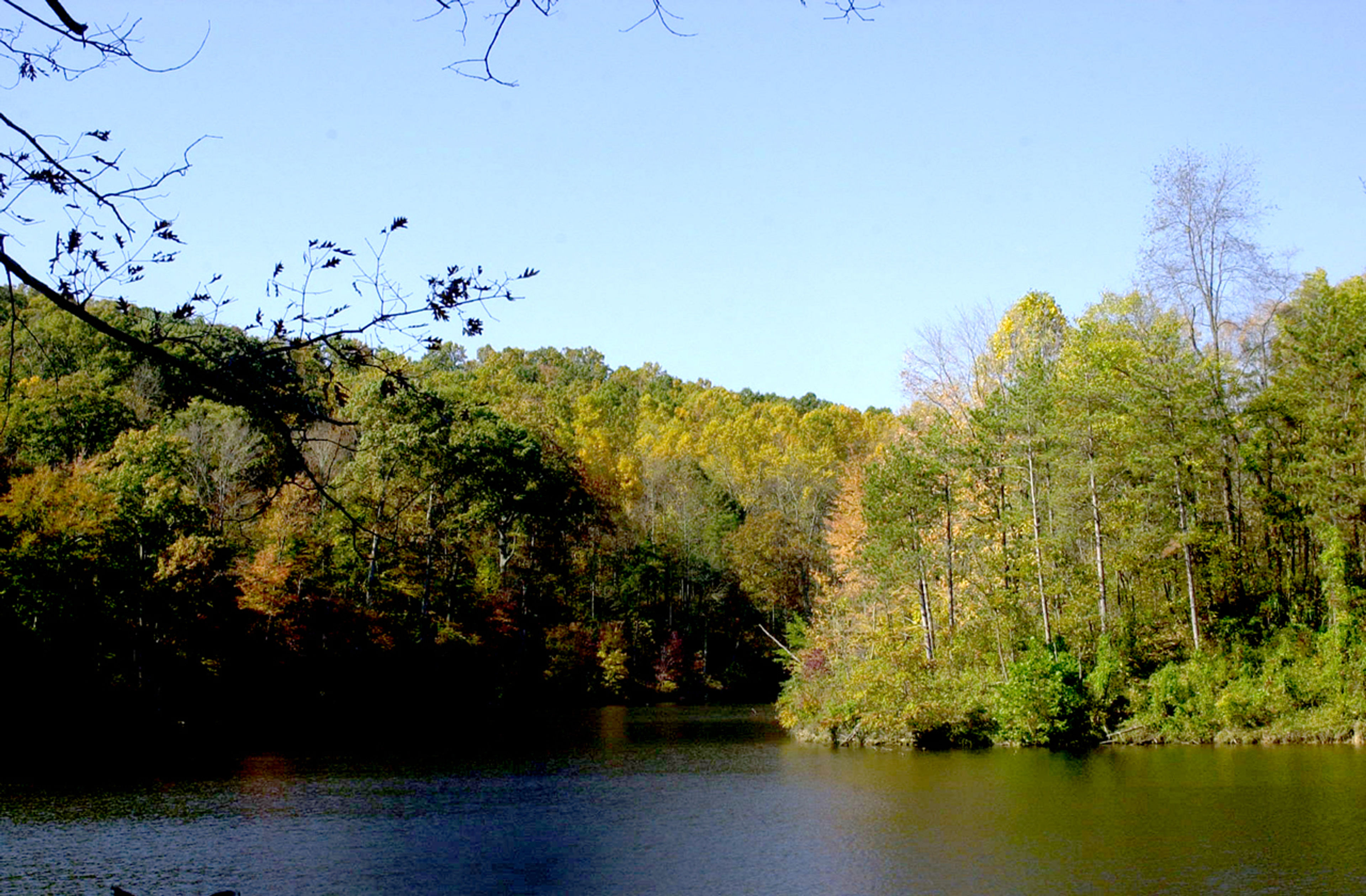 A lake surrounded by trees at Forked Run State Park