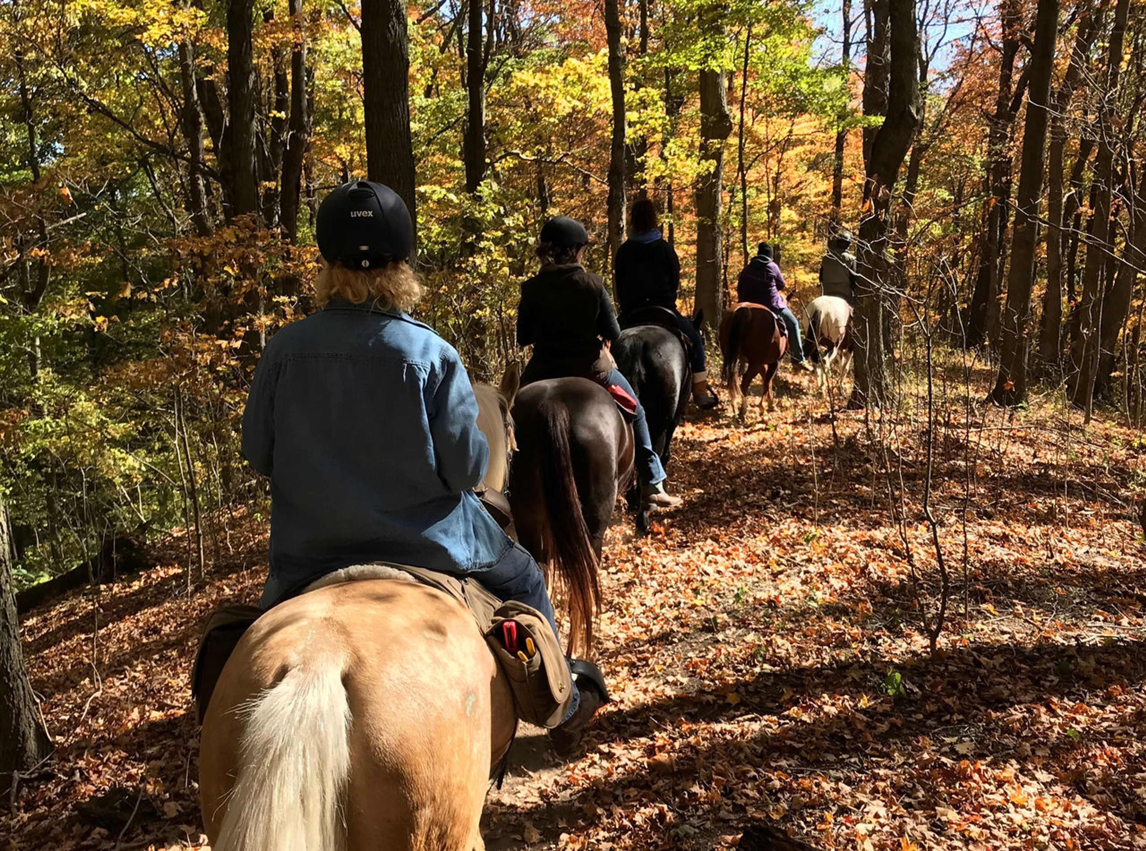 A group of people riding horses in the woods at Great Seal State Park