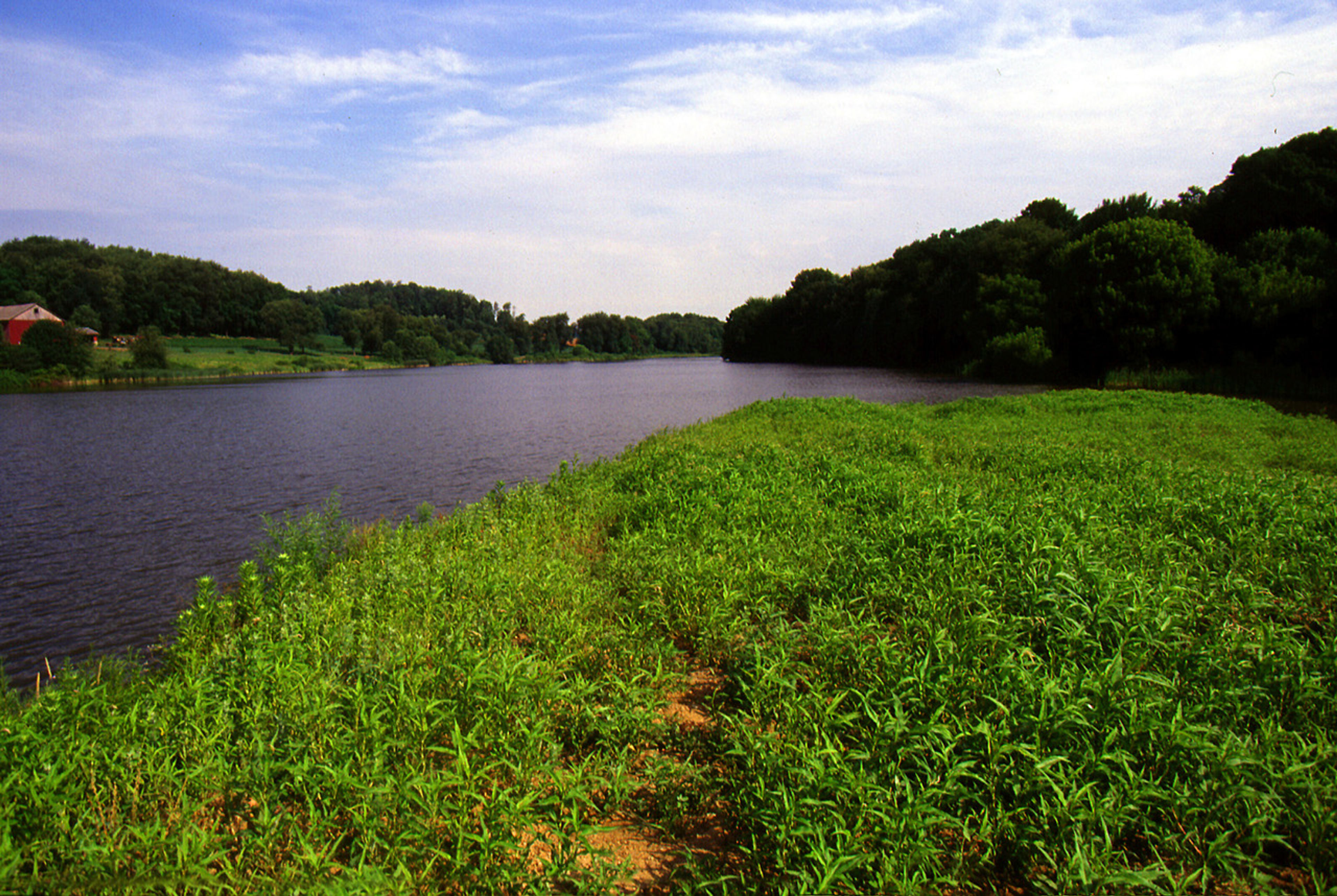 A grassy area next to a body of water surrounded by trees at Guilford Lake State Park