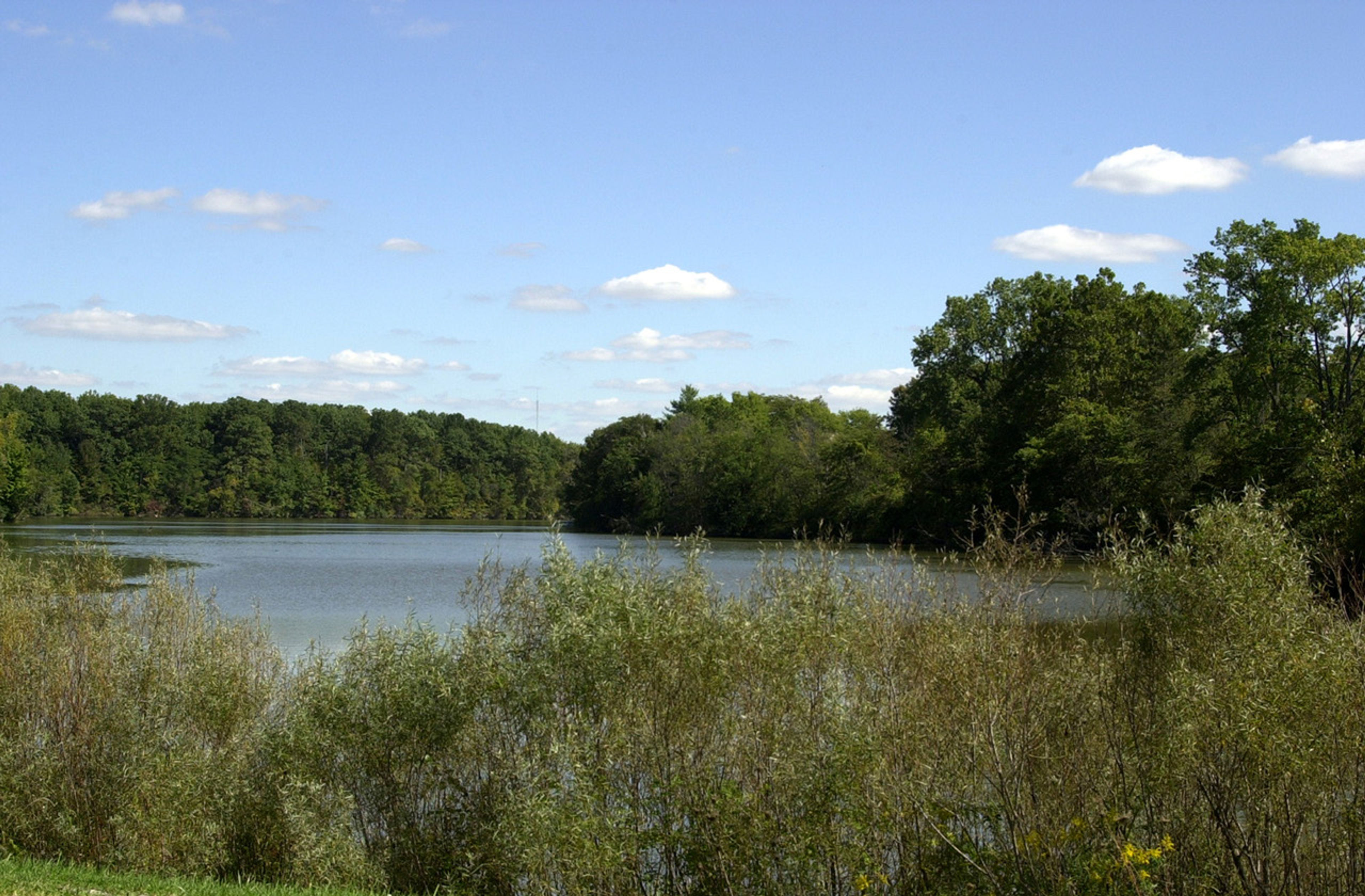 A lake with trees and shrubbery around it at Harrison Lake State Park