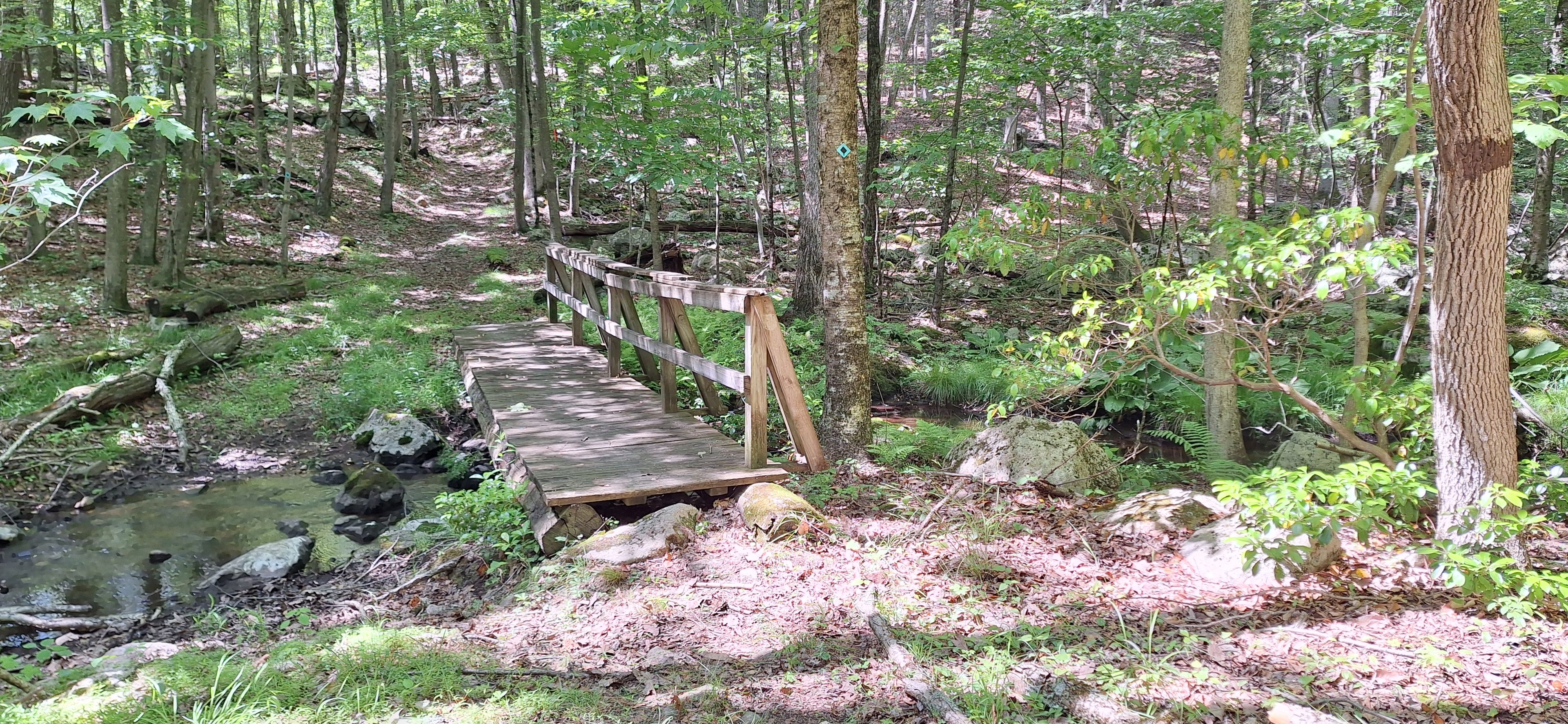 Bridge #2 of Mt Inlet Spur of the LHT (crossing UNT of Mt Brook