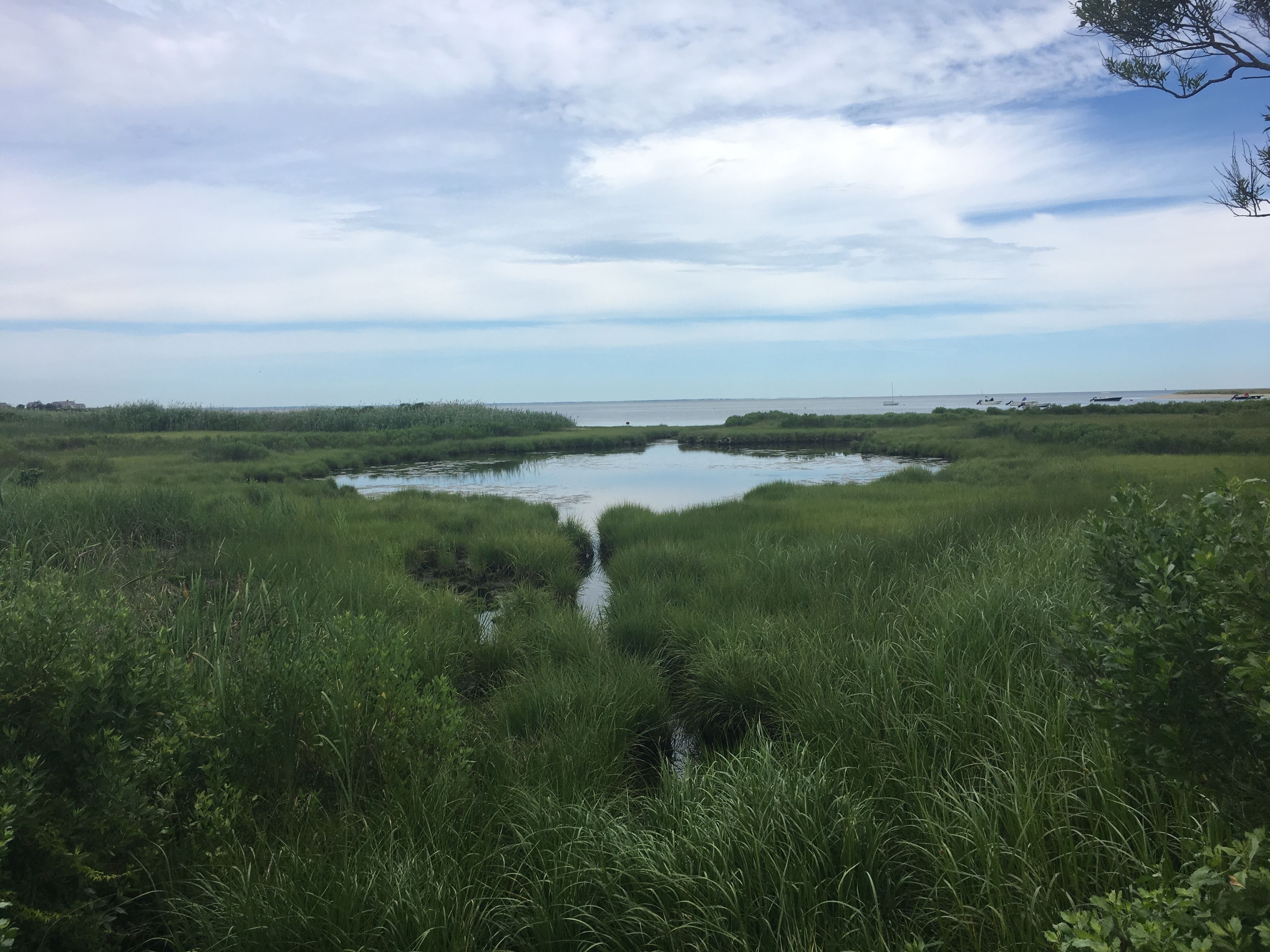 John Butler's Mudhole, Sheriff's Meadow Sanctuary