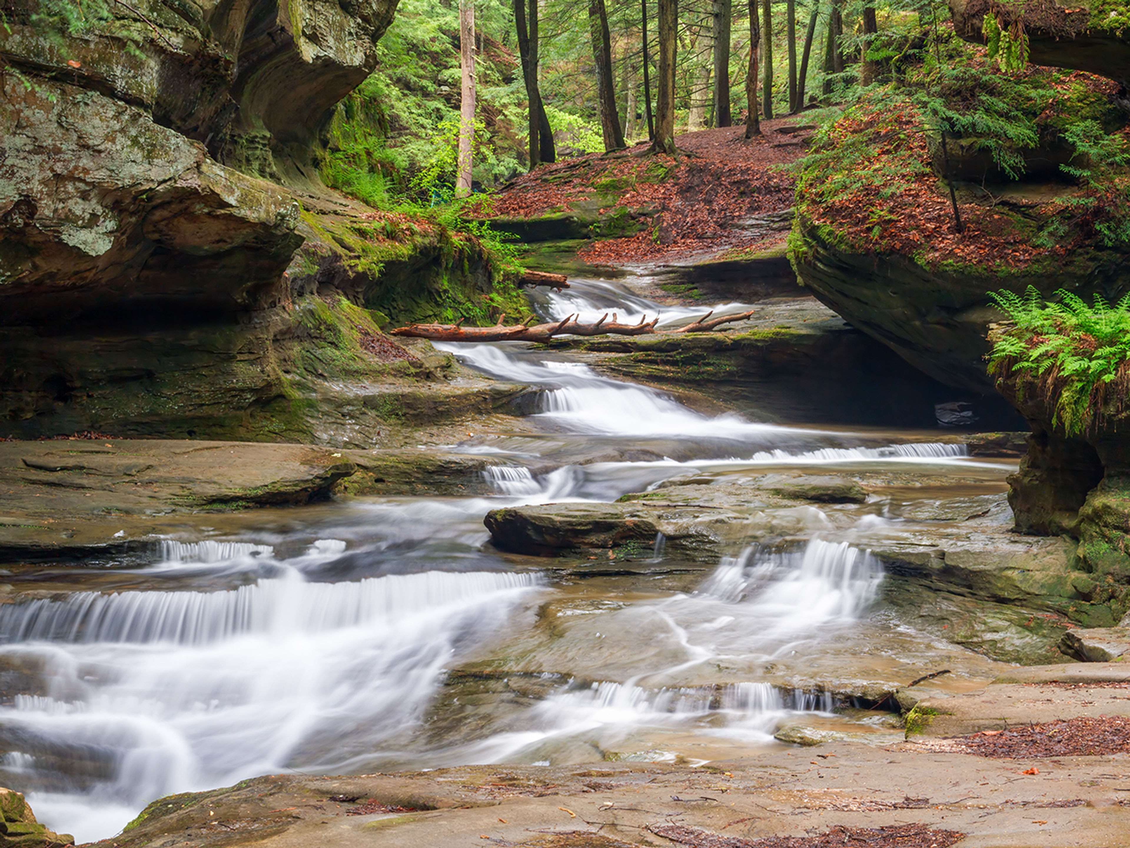 A stream flowing through a forest at Hocking Hills State Park