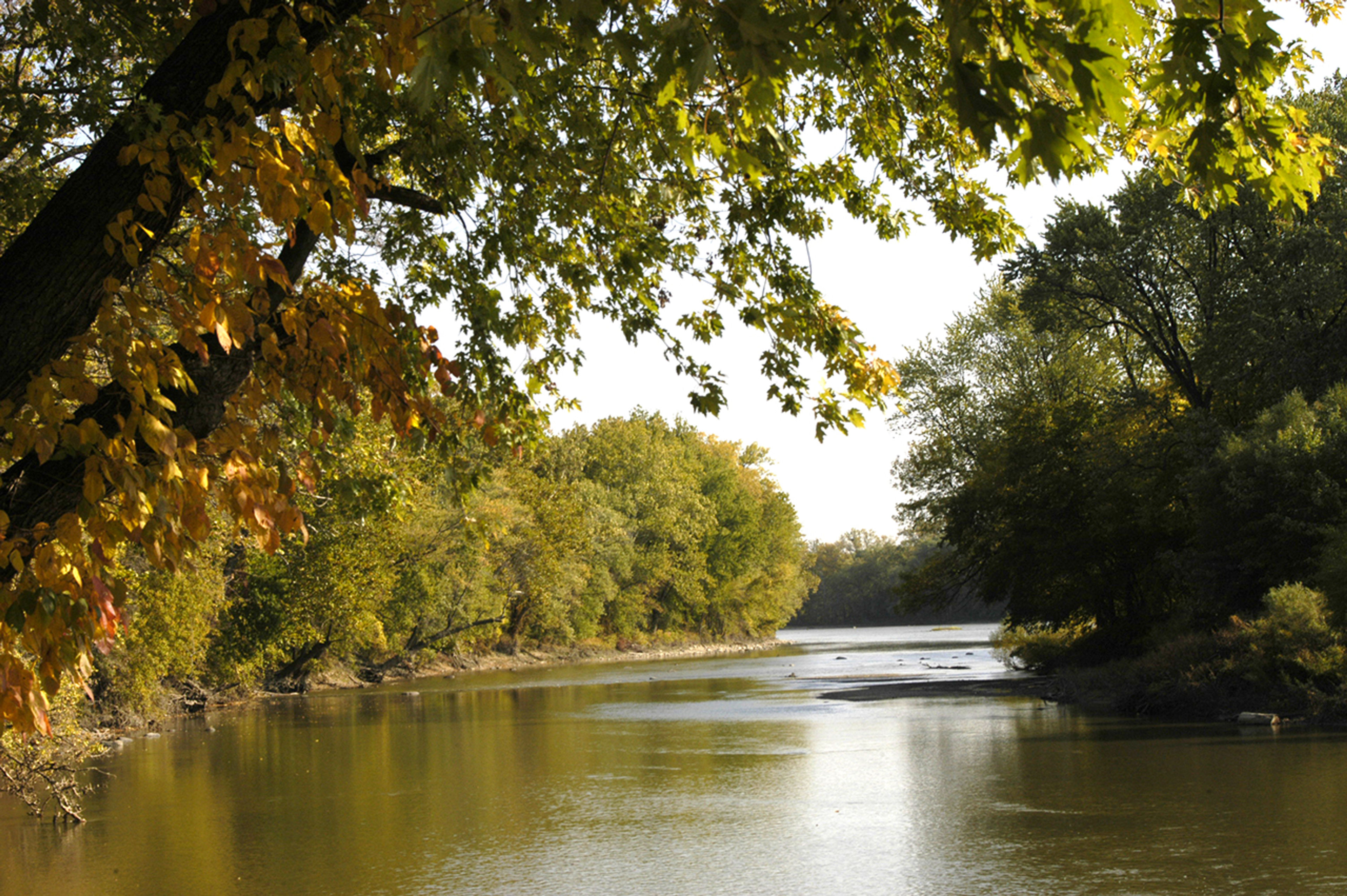 A river with trees and a riverbank at Independence Dam State Park