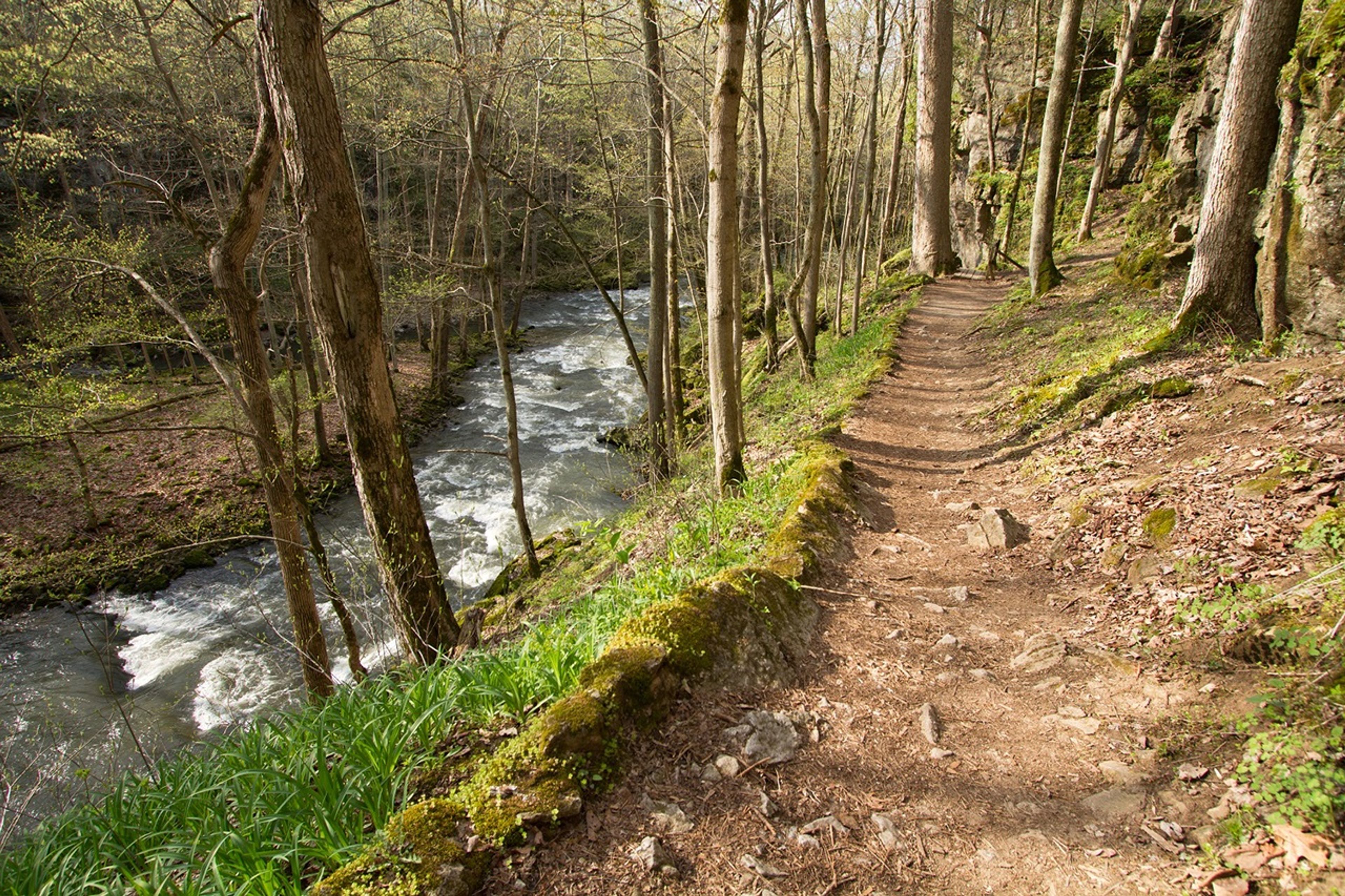 Walking trail along a river in the woods at John Bryan State Park