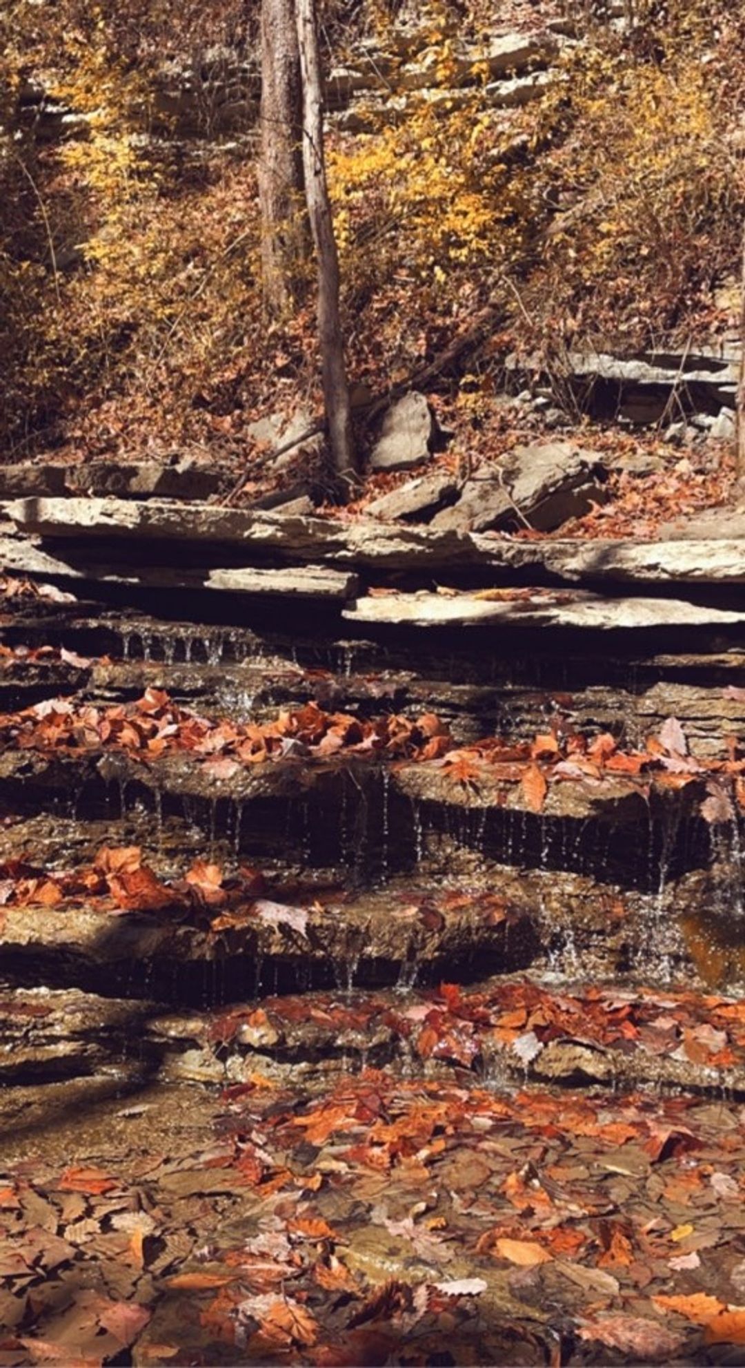 Waterfall at East Fork along Perimeter Trail