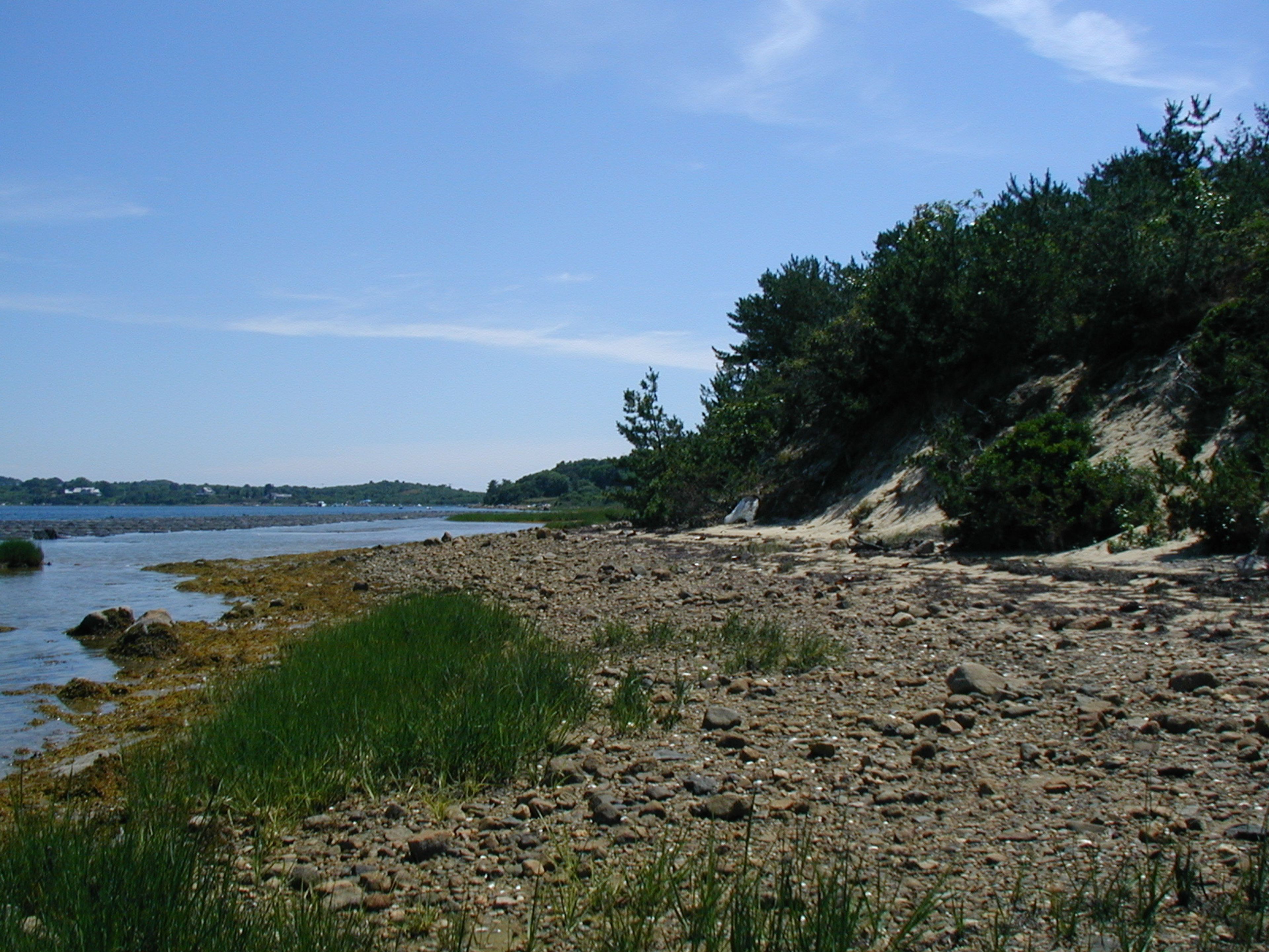 Eastman Preserve, Menemsha Pond Shoreline