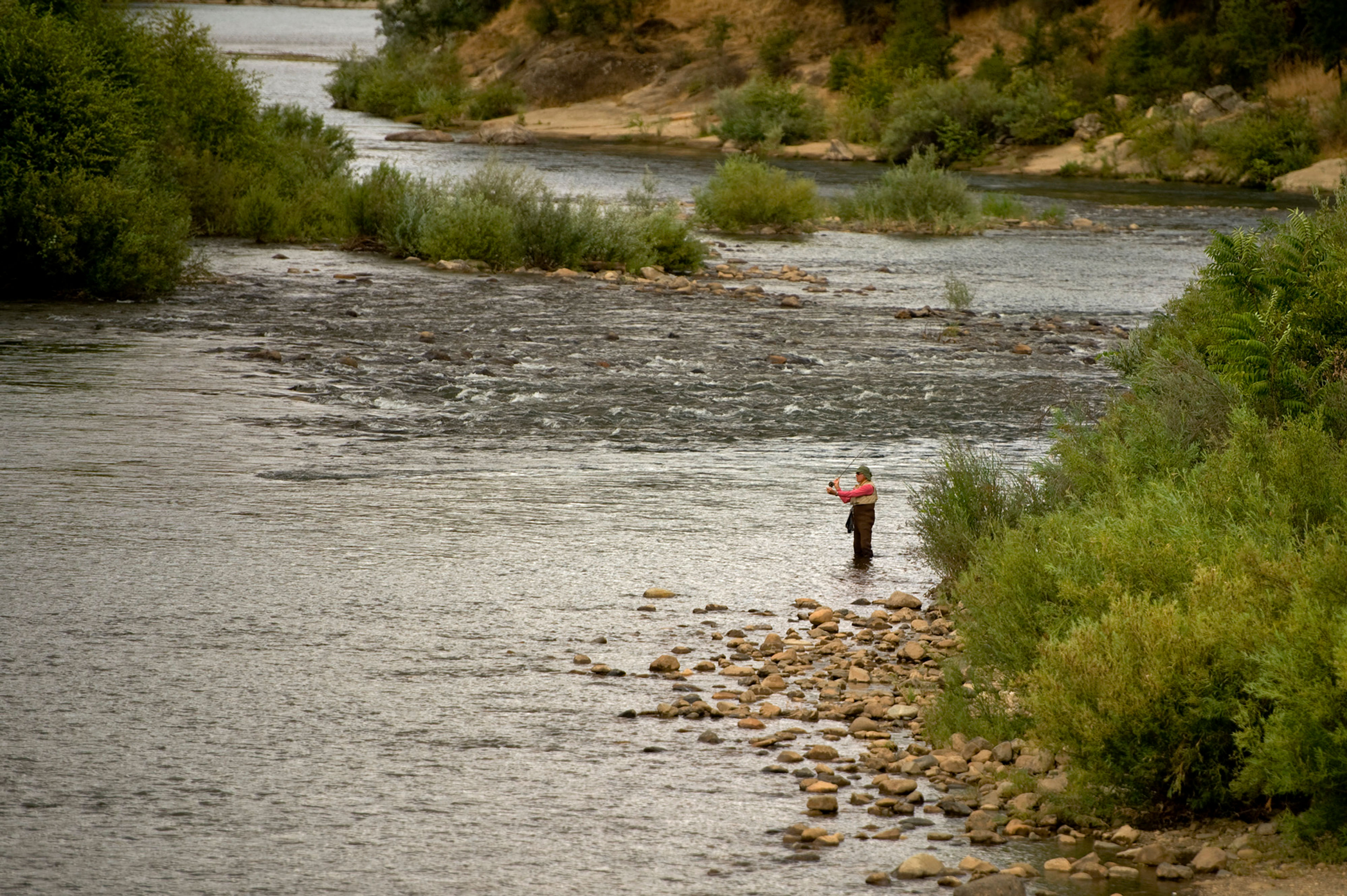 A visitor fly-fishes on the South Fork American River, which is visible from the Levee Trail.