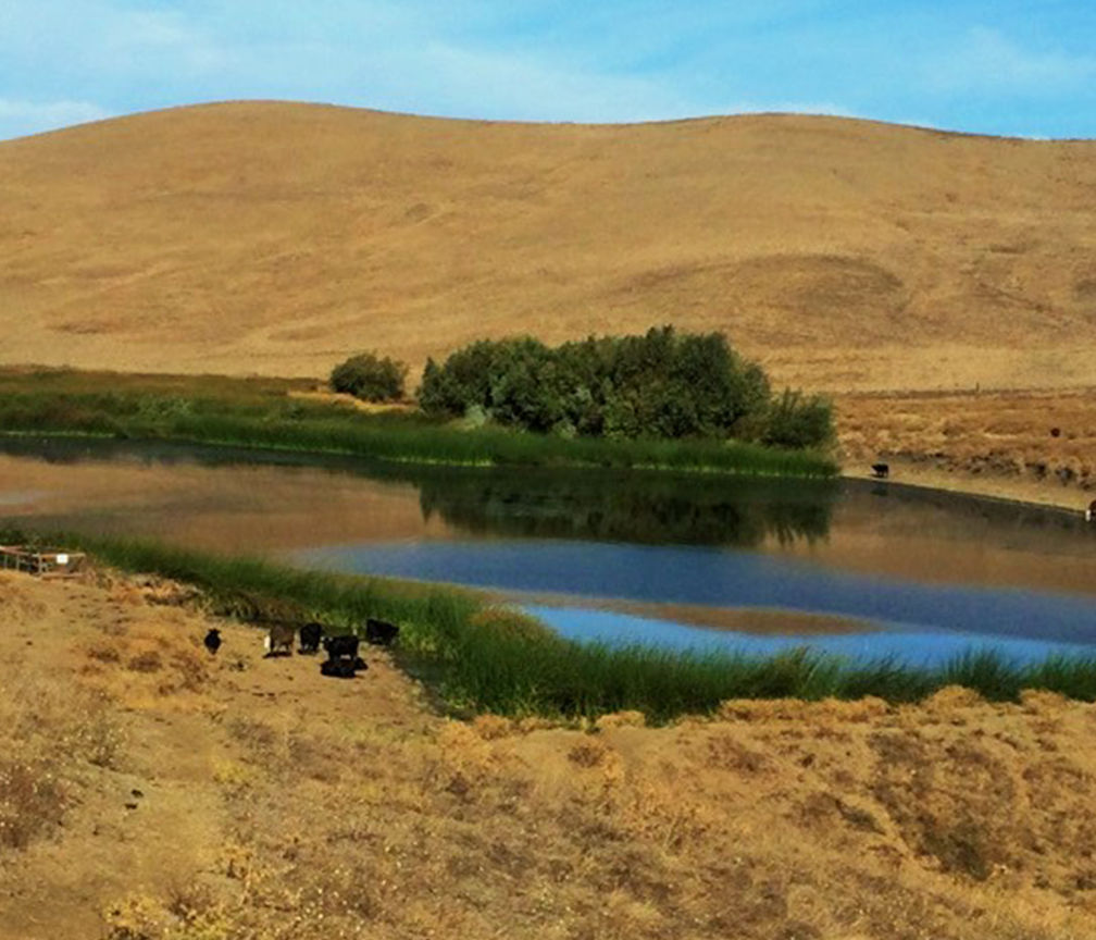 Lynch Canyon Open Space - Areas - OuterSpatial