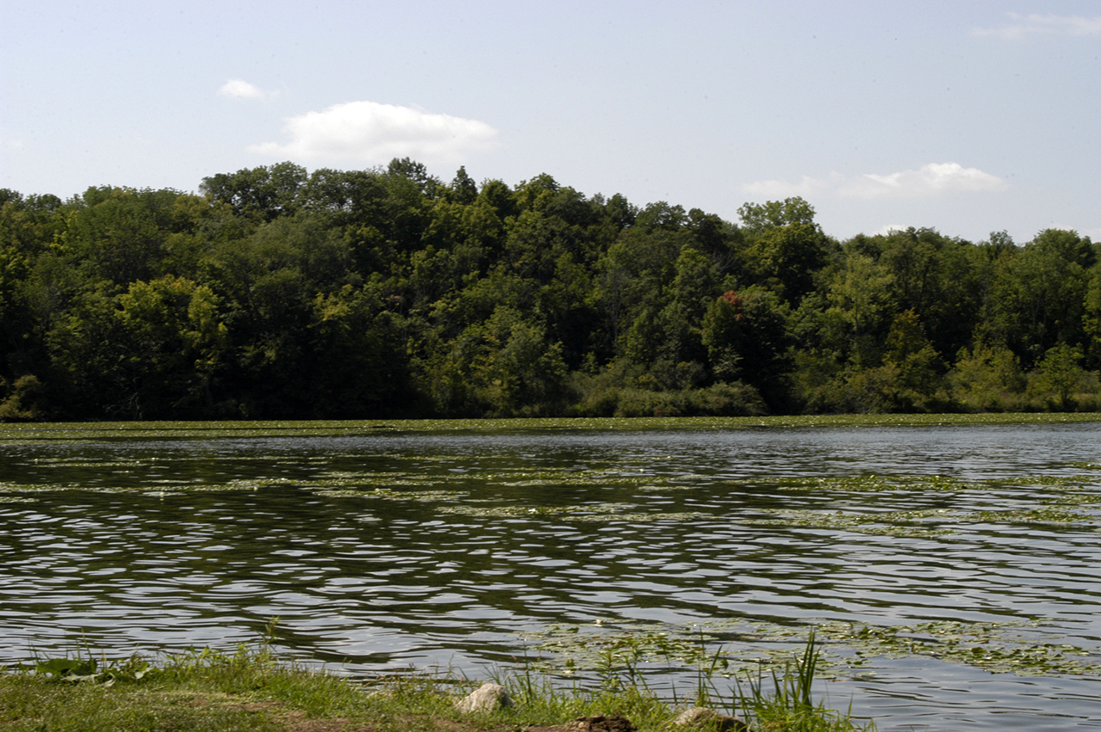 A lake with trees in the background at Kiser Lake State Park