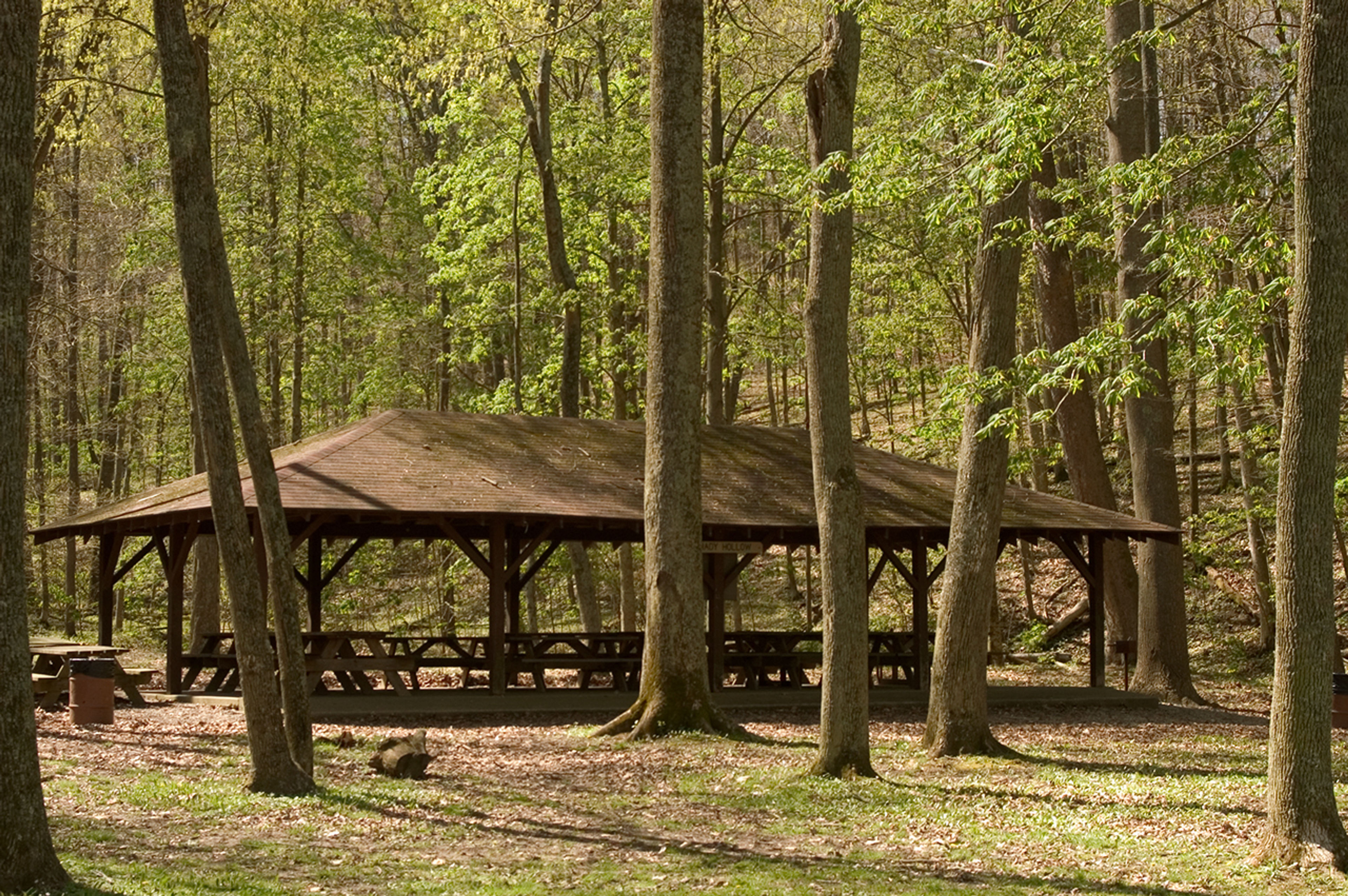 Shelter house in the woods at Lake Alma State Park