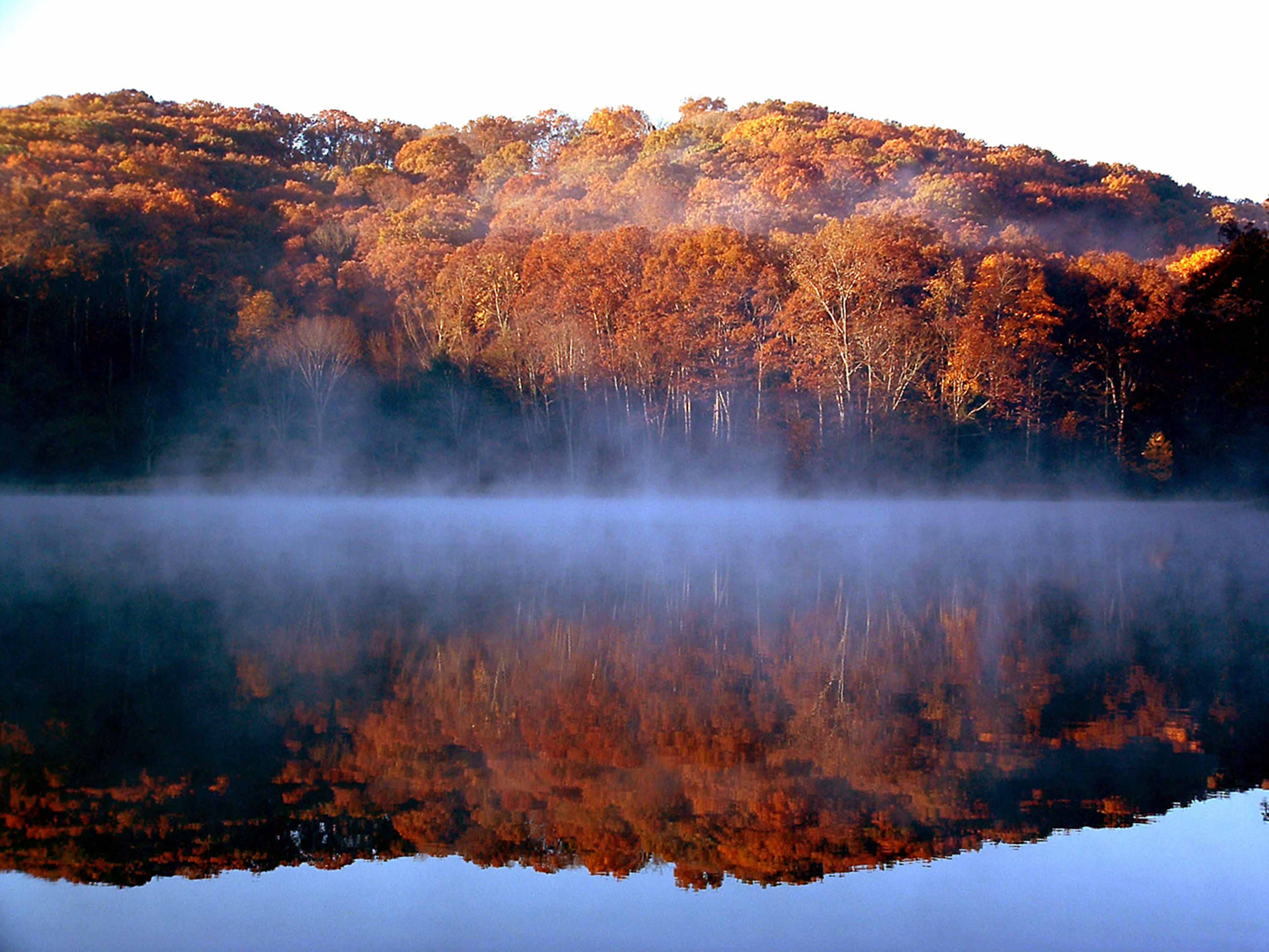 A foggy lake with trees in the background at Lake Logan State Park