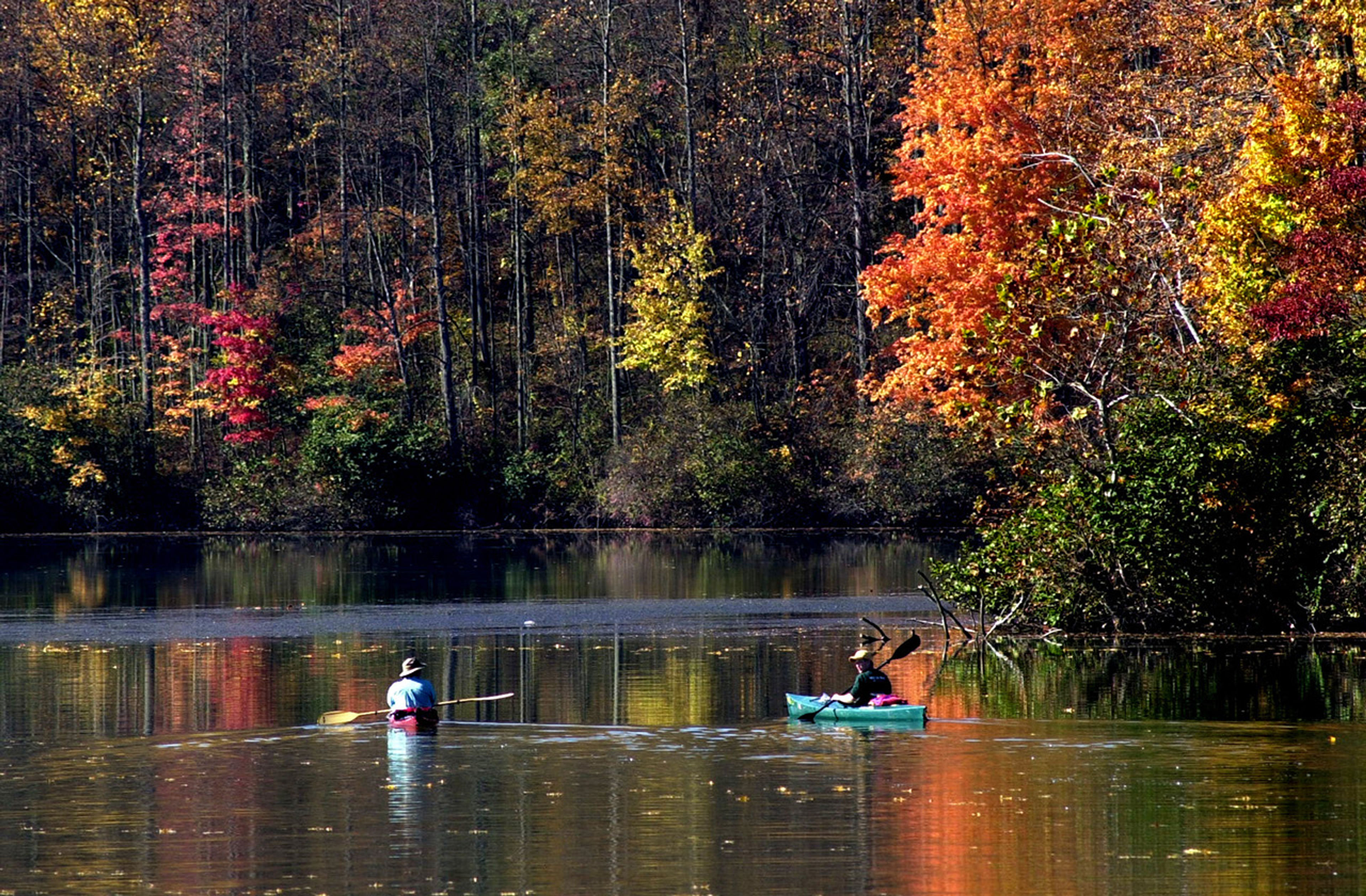 A couple of people paddling a kayaks on a lake at Lake Logan State Park