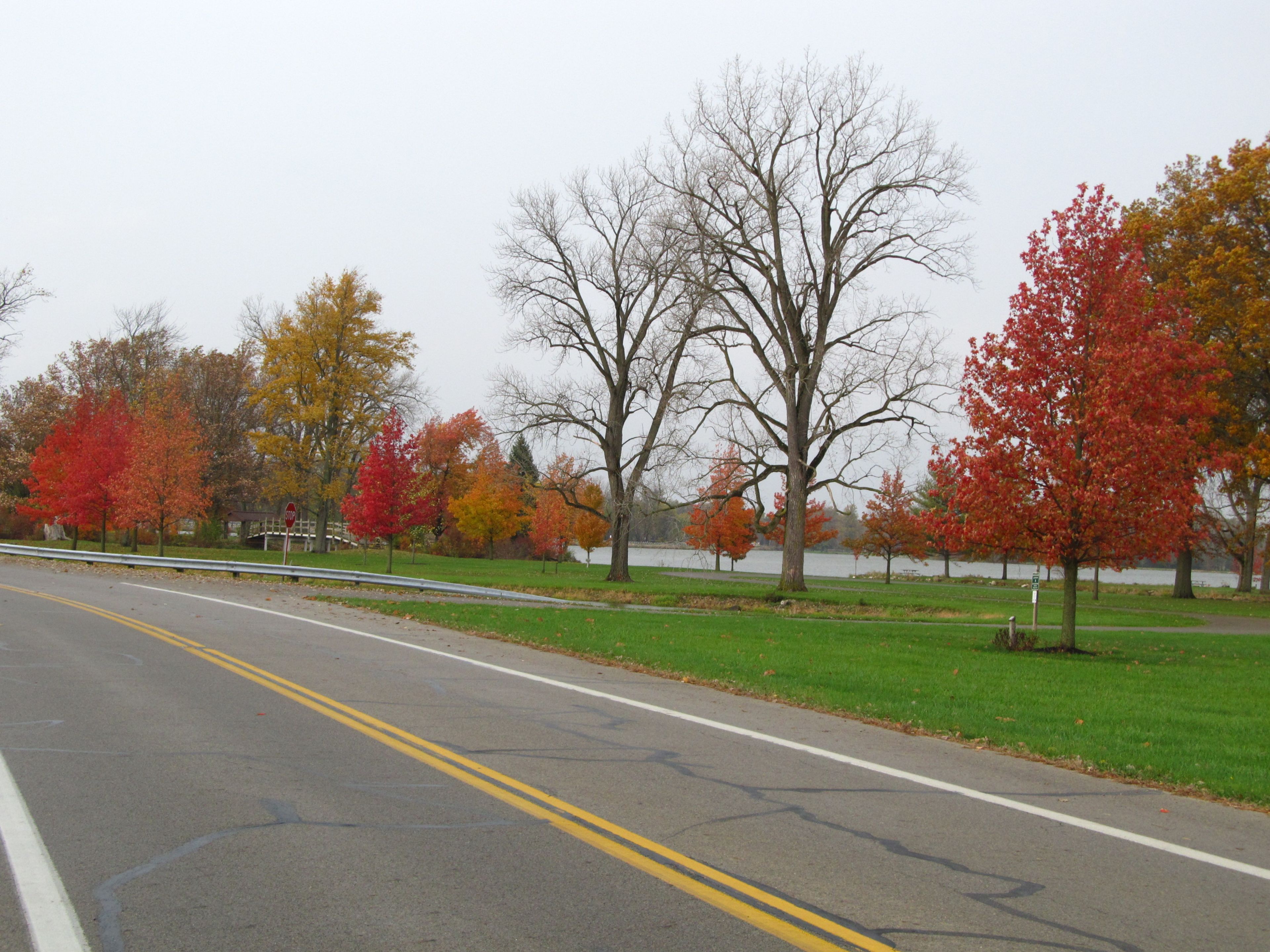 Fall colors at Lake Loramie State Park