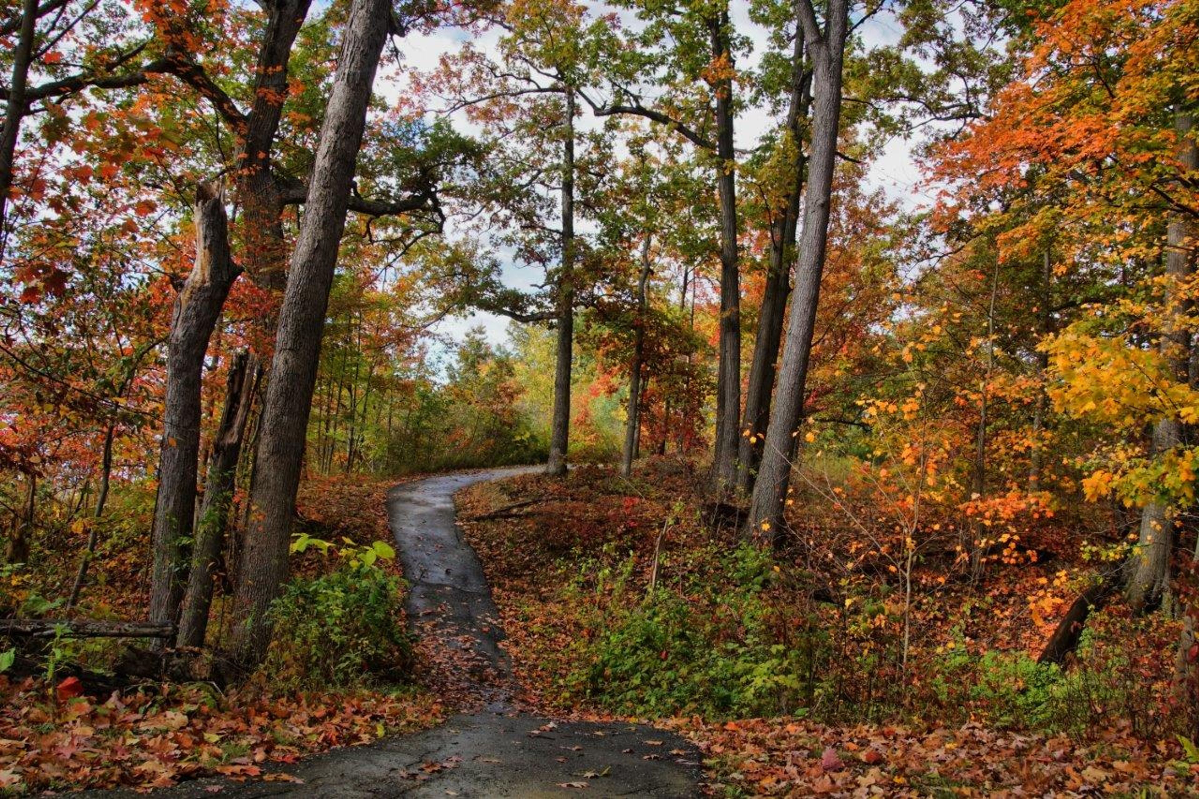 Fall colors along a paved path at Lake Milton State Park