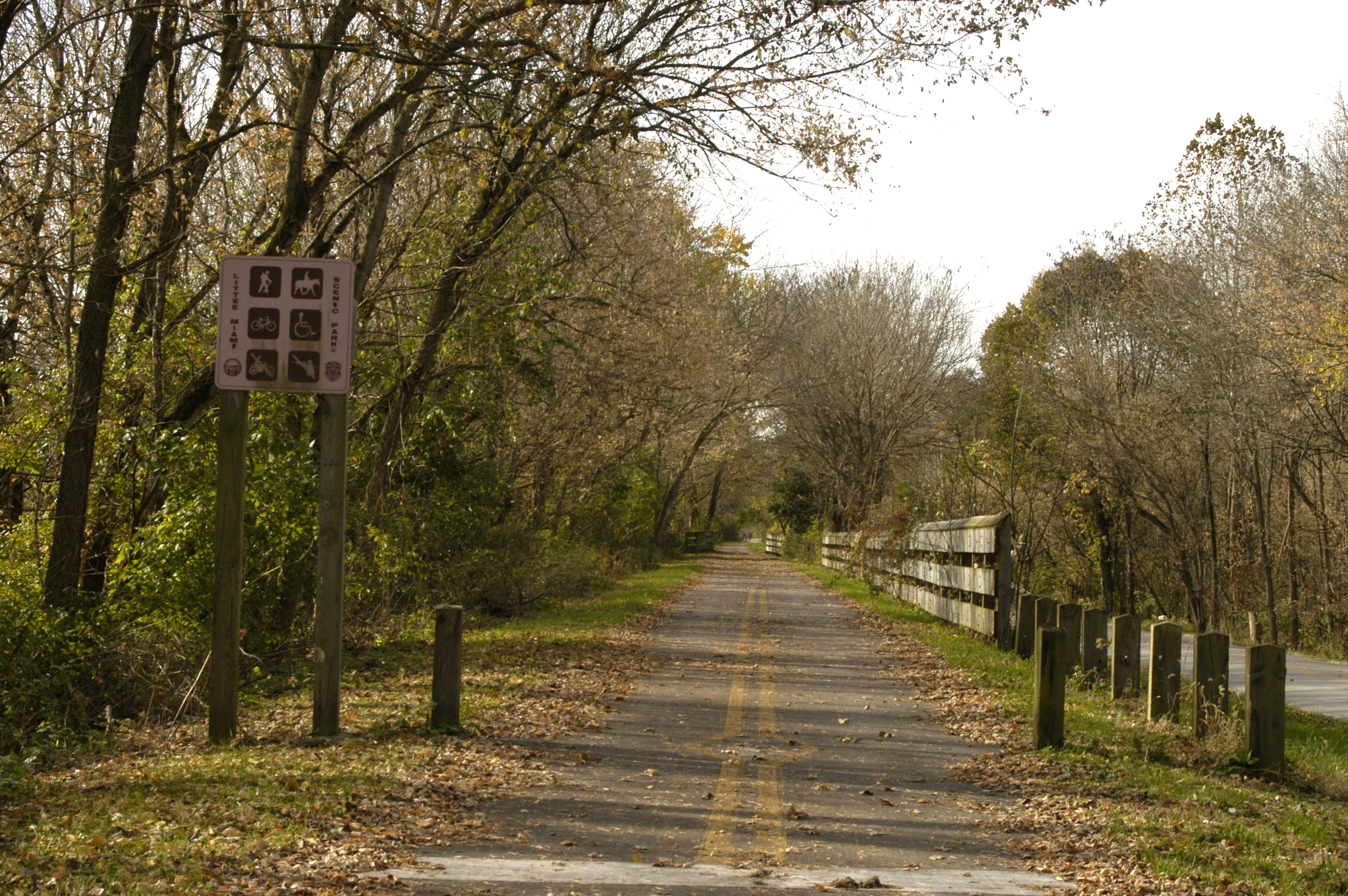 Fallen leaves on the Little Miami Scenic Trail State Park