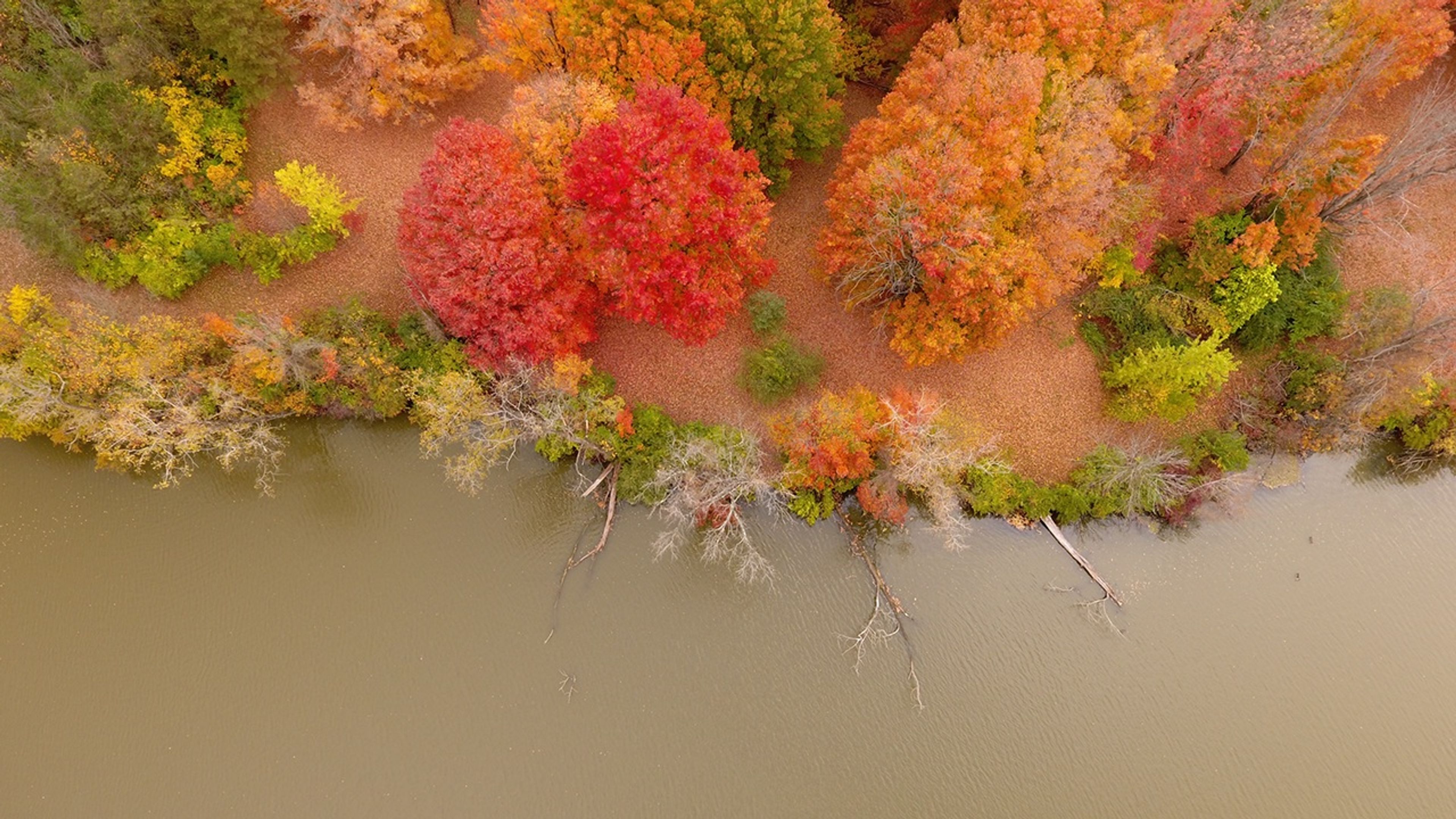 An aerial view of a river with red and orange trees at Madison Lake State Park