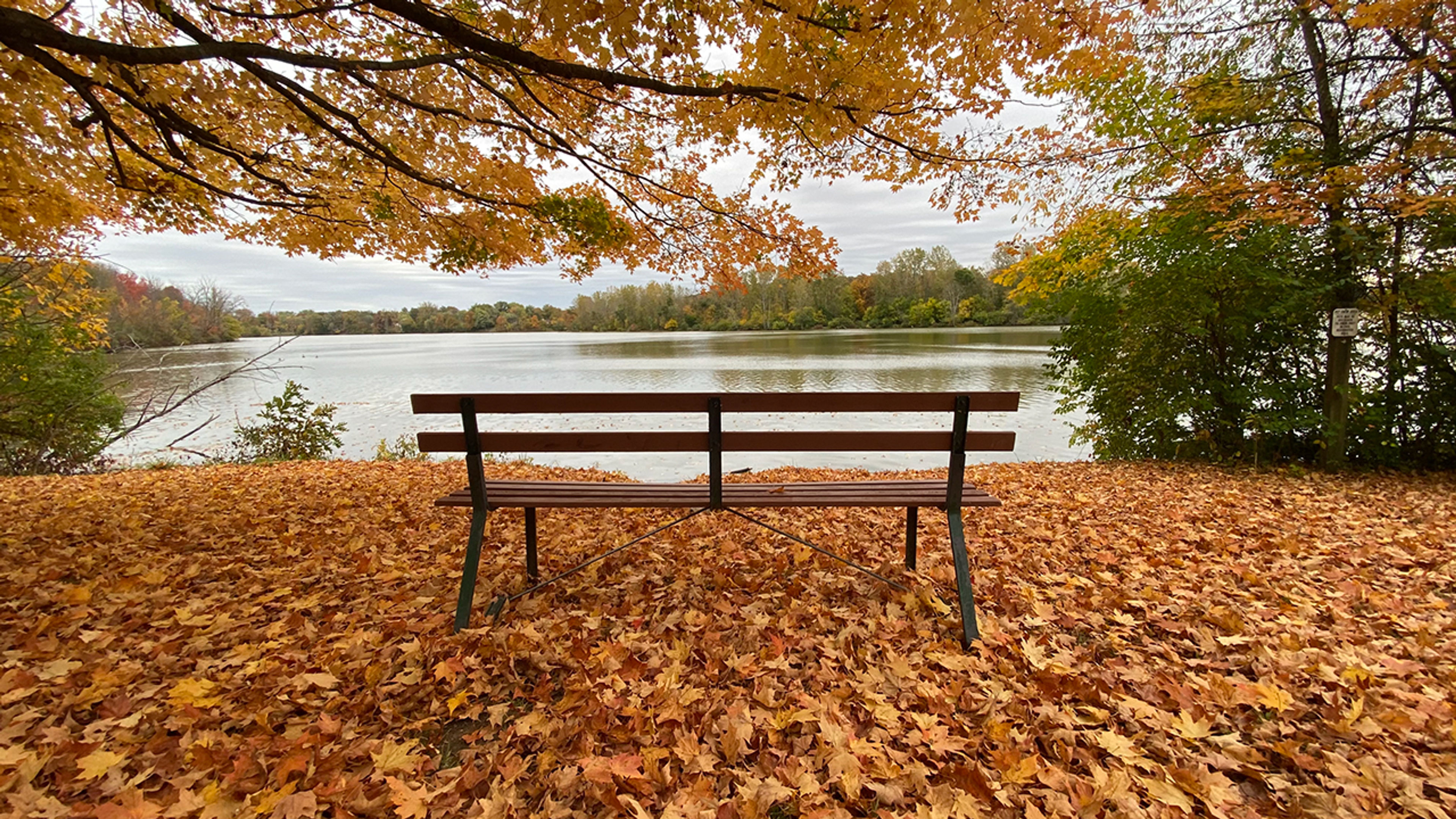 Park bench surrounded by fallen leaves in front of a body of water at Madison Lake State Park