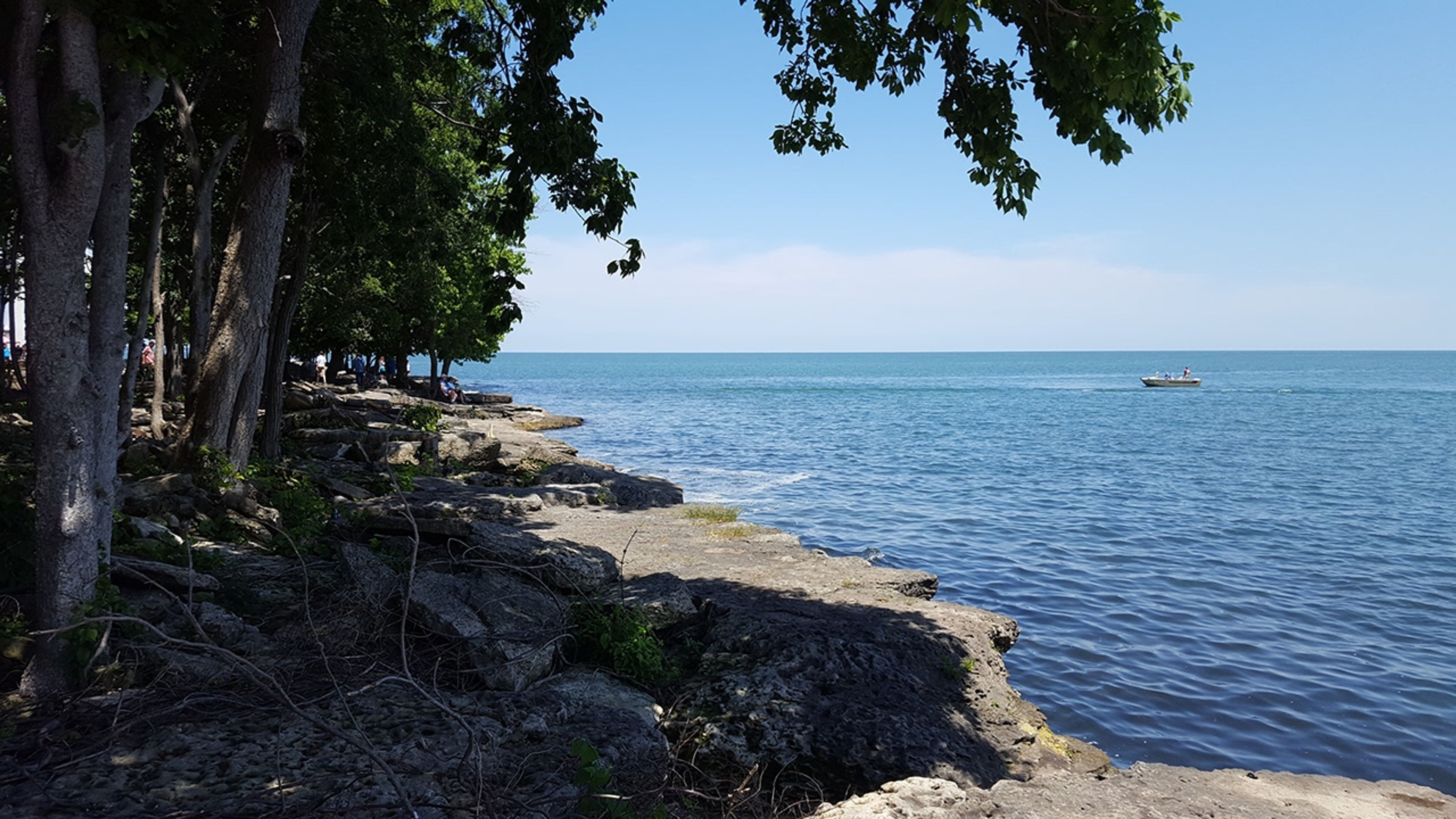 A rocky shore with trees and water at Marblehead Lighthouse State Park