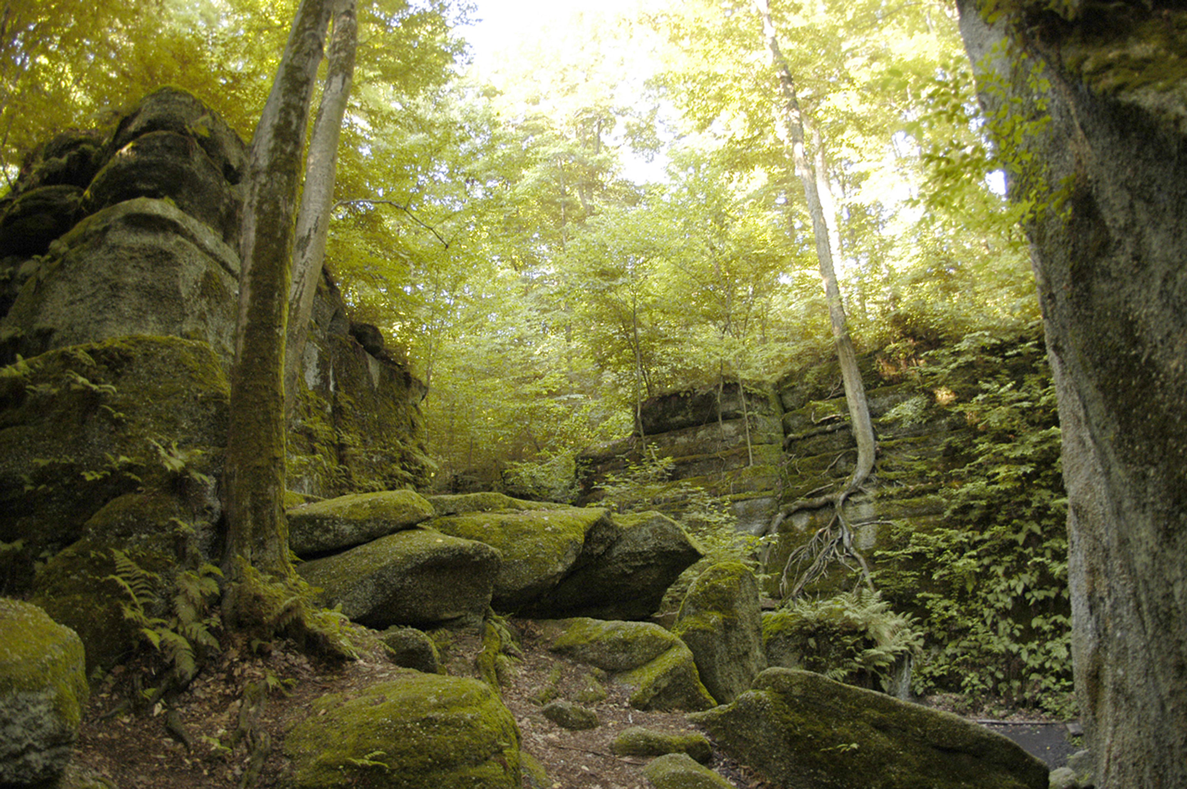 Large rock formations in the woods at Nelson-Kennedy Ledges State Park