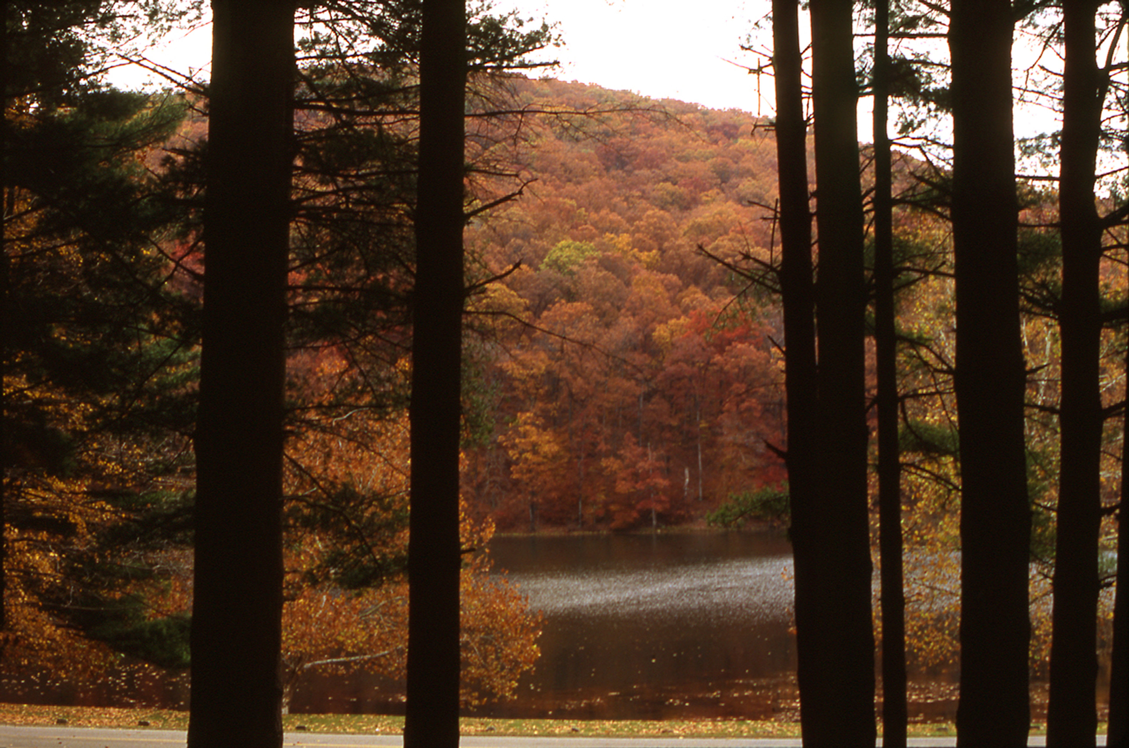 A lake with trees in the background at Paint Creek State Park