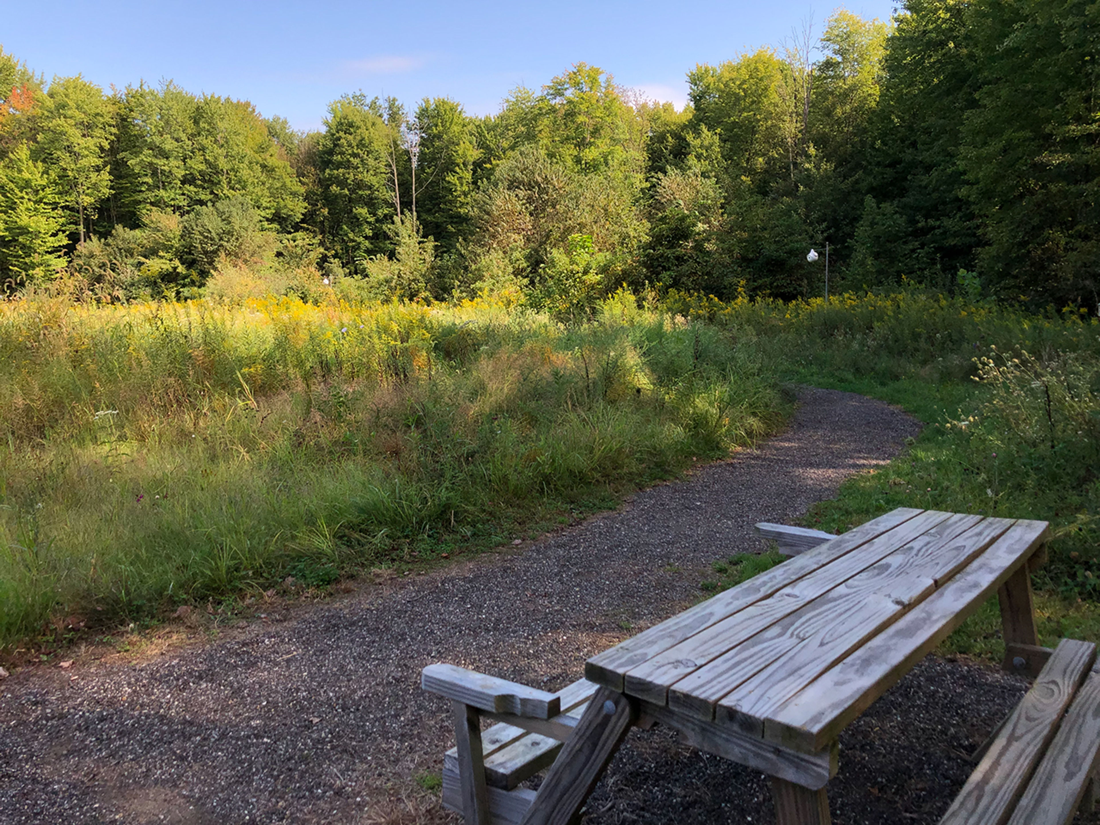 Picnic table along a walking trail at Portage Lakes State Park