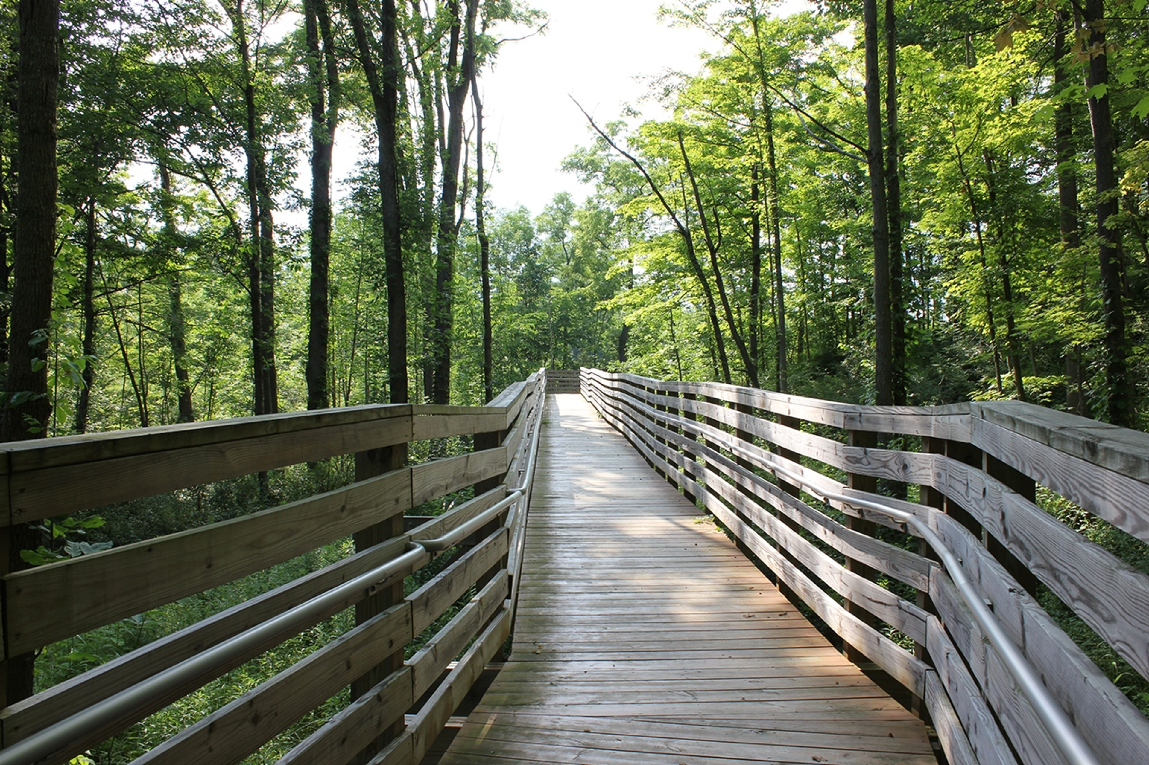 Wooden bridge though the woods at Punderson State Park