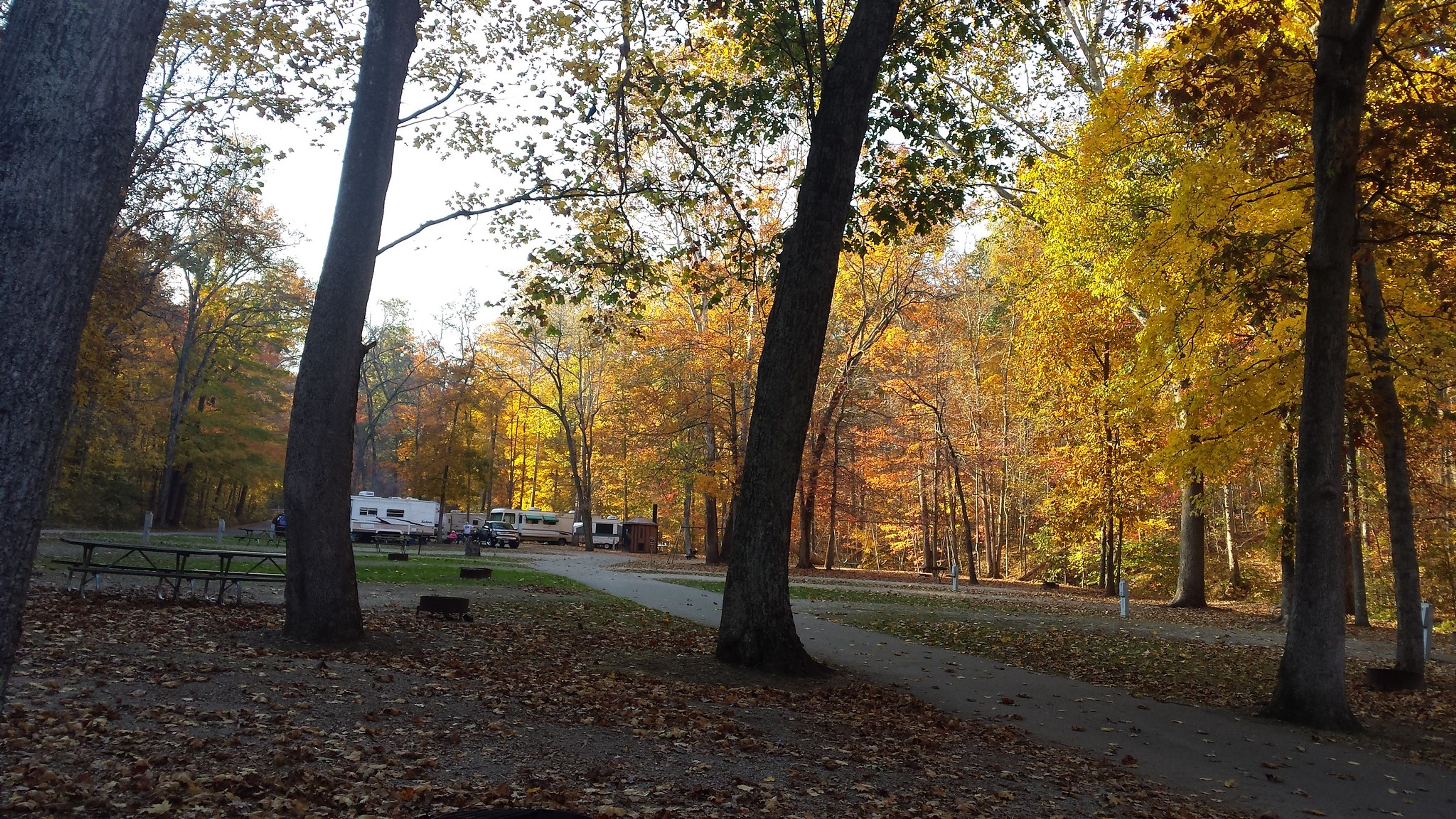 Fall color at campground at Scioto Trail State Park