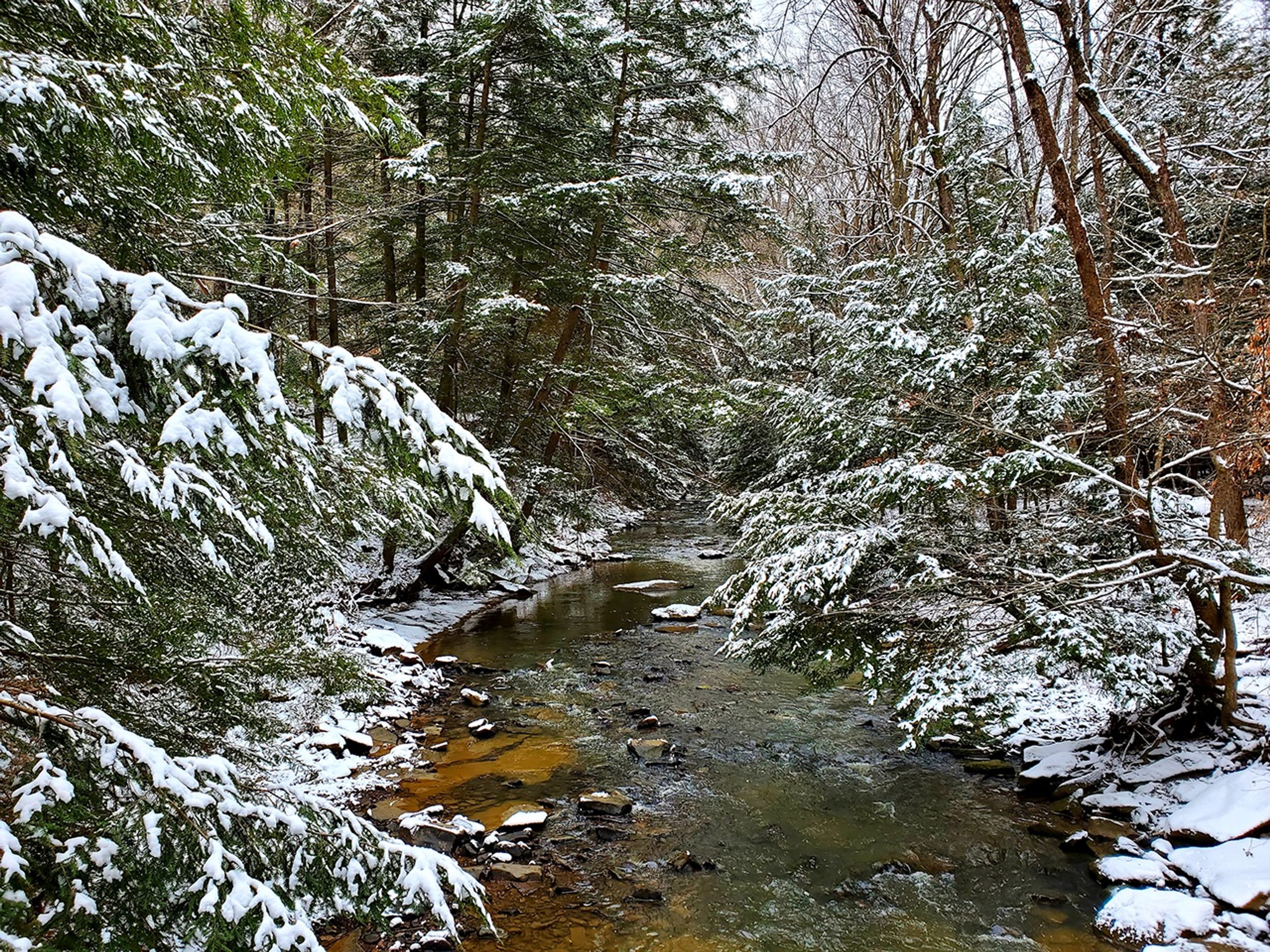 Snowy river though the woods at Shawnee State Park