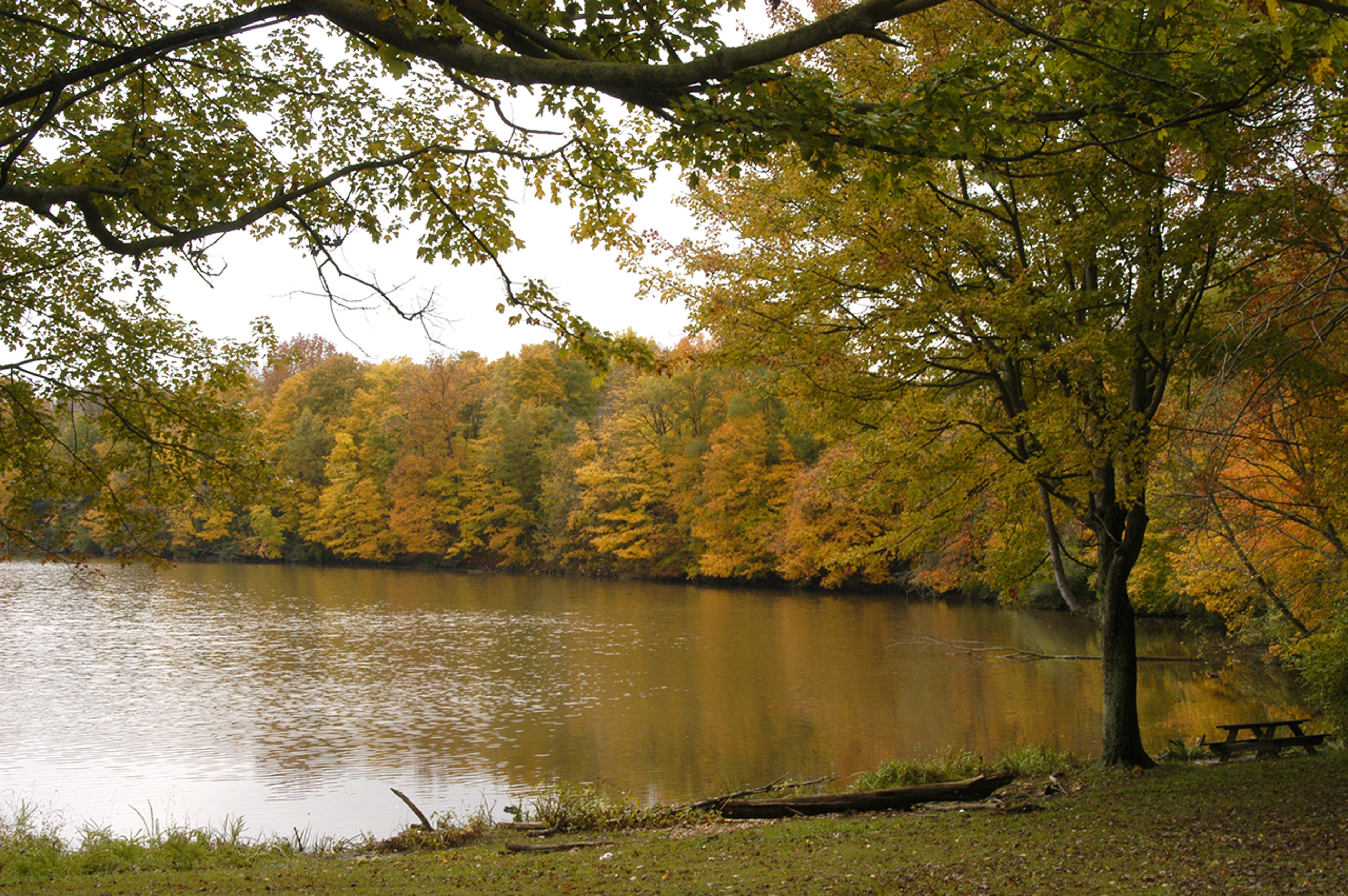 A lake with trees around it at Stonelick State Park