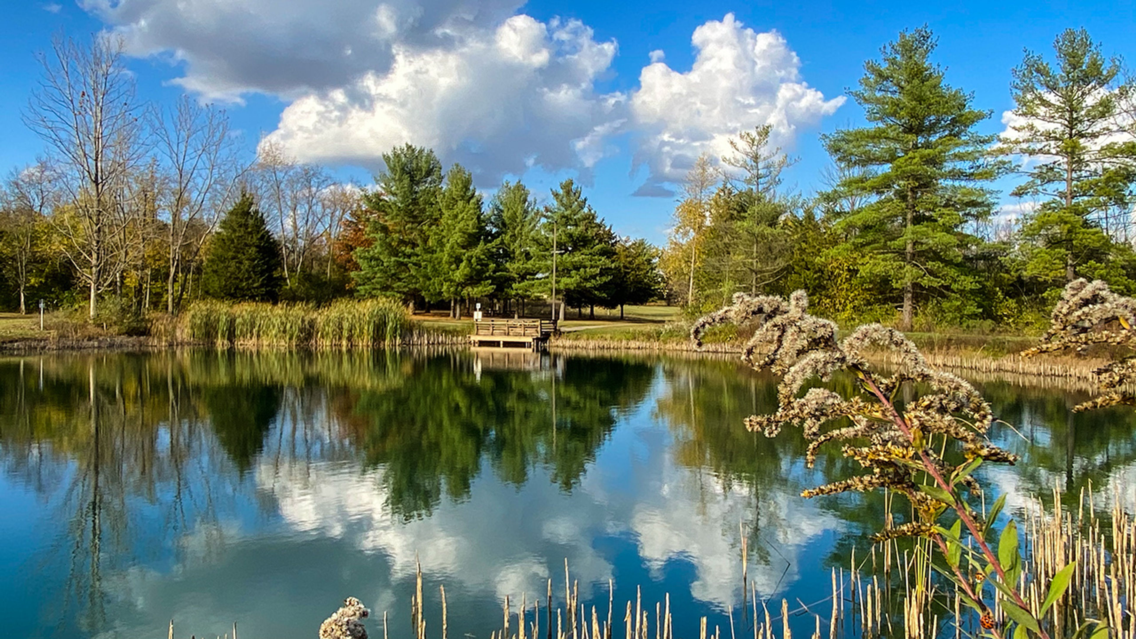 A lake with trees and a small bridge in the distance at Sycamore State Park