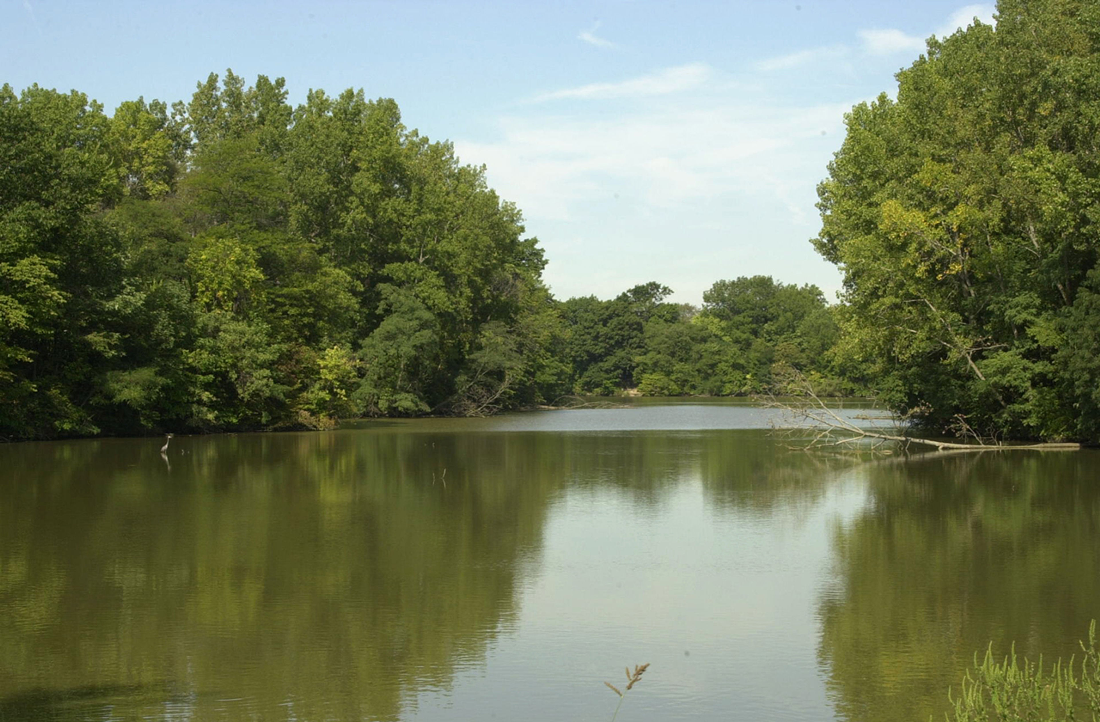 A body of water with trees around it at Van Buren State Park