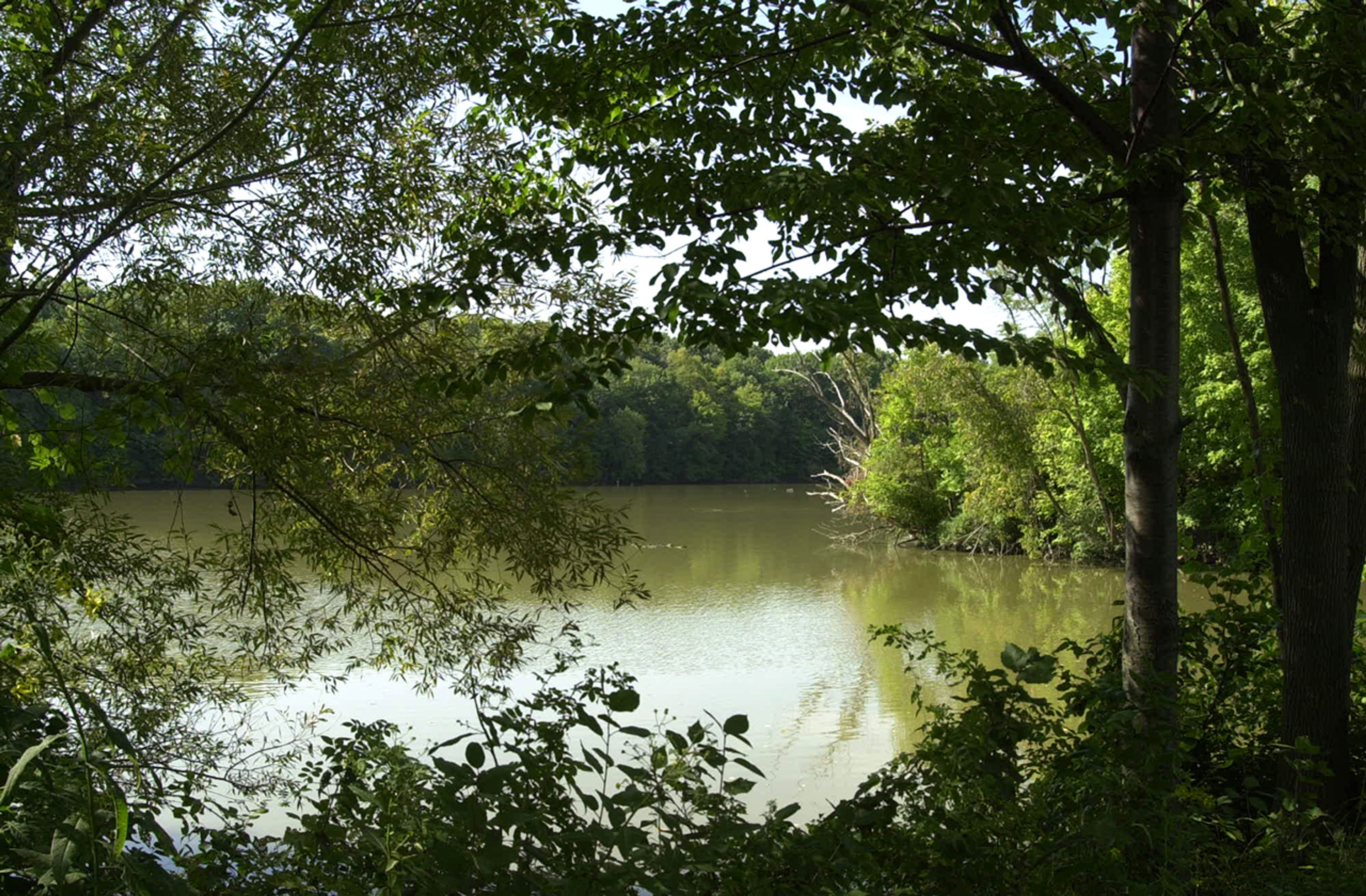 A body of water with trees around it at Van Buren State Park