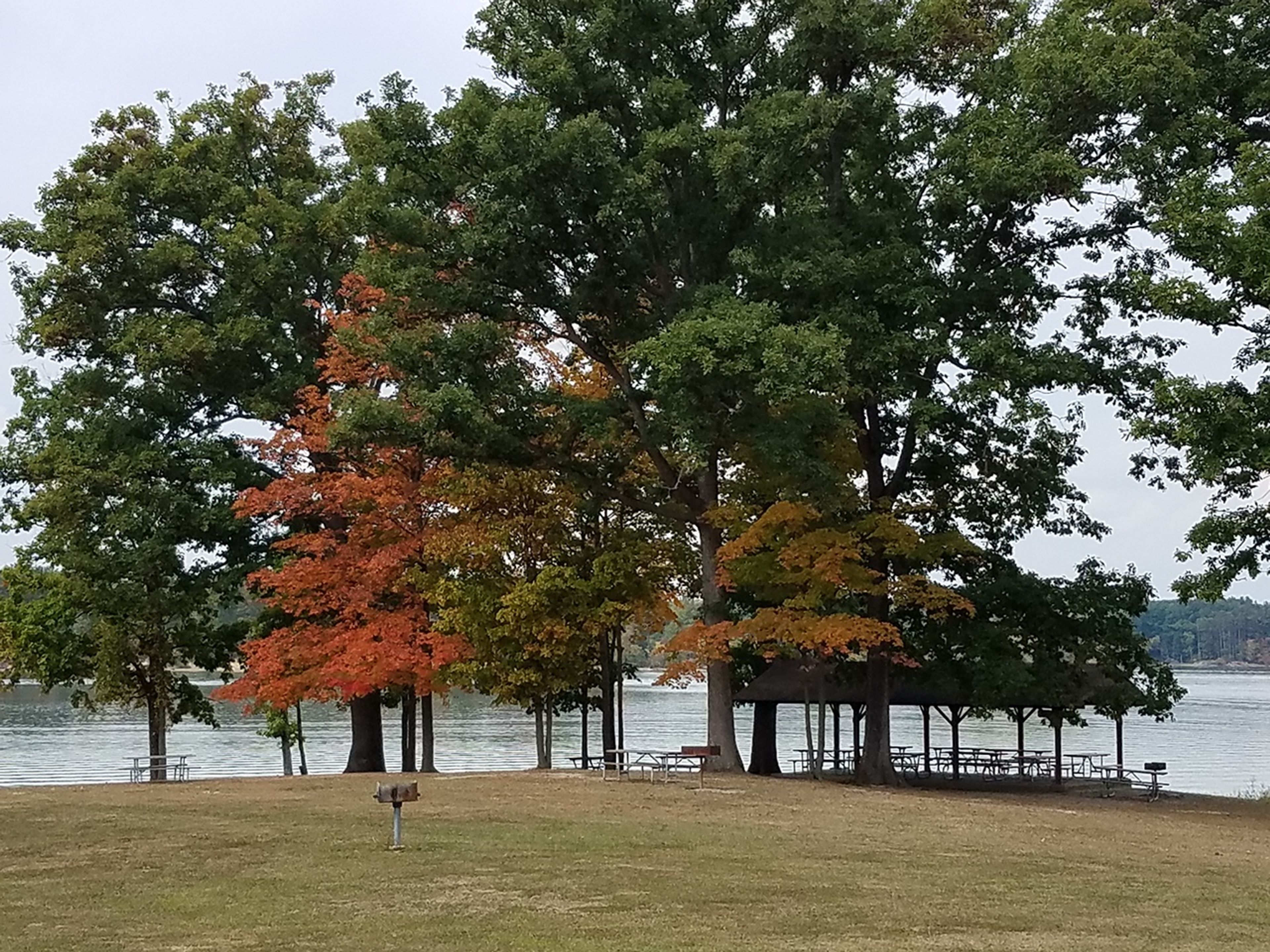 A field next to a lake with trees and a shelter house with picnic tables at West Branch State Park